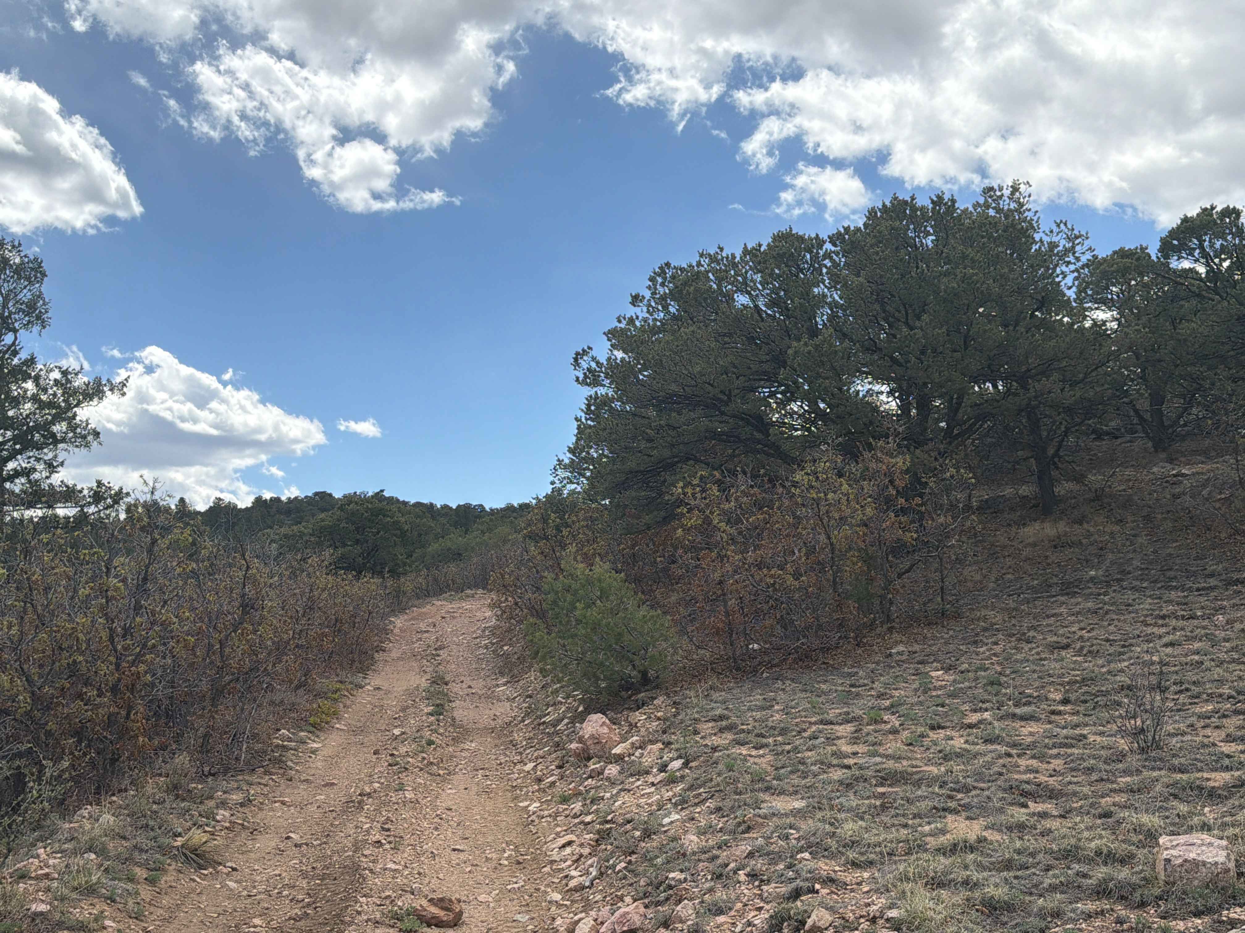 BLM 6055