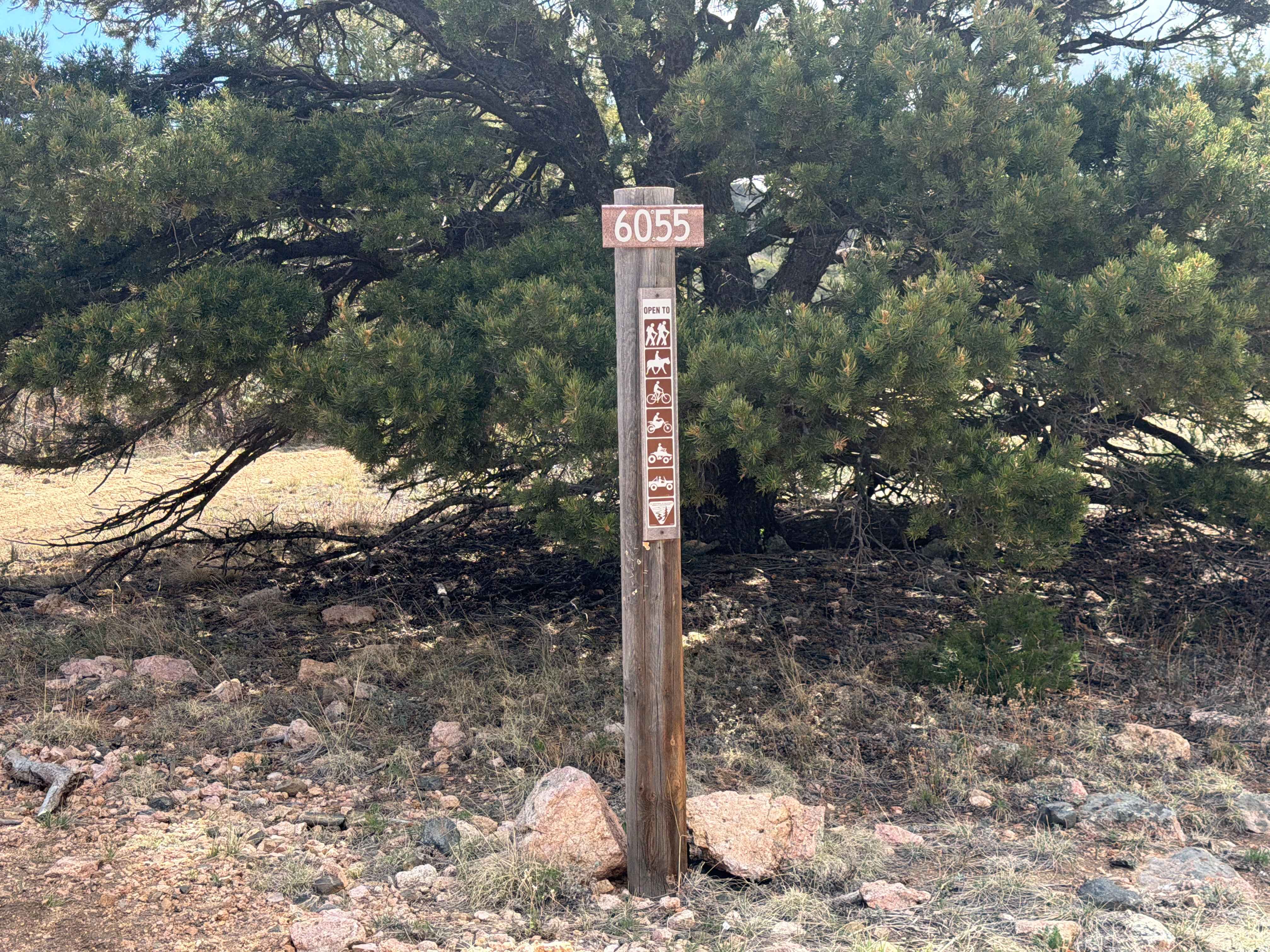 BLM 6055