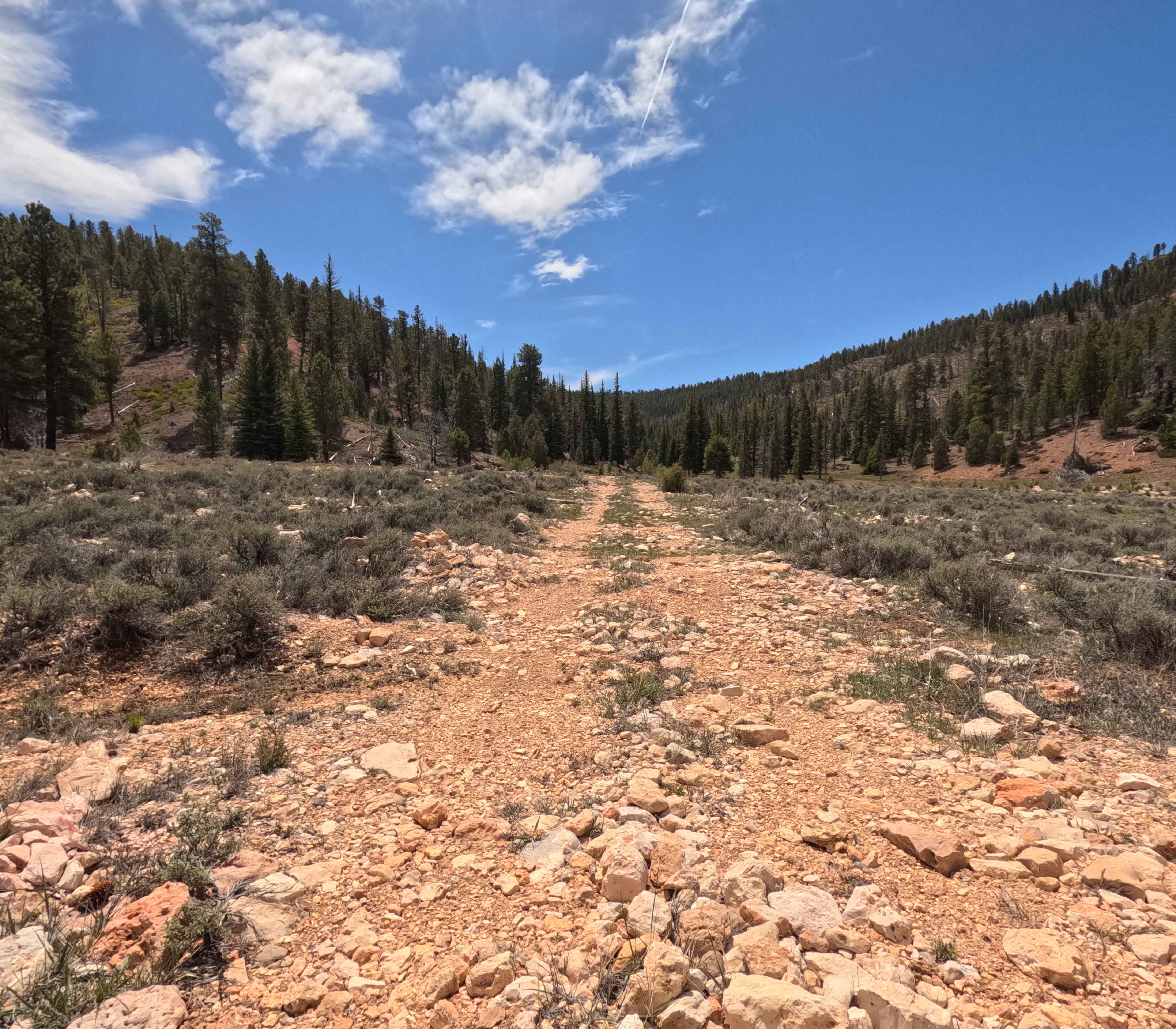 Long Hollow South - FS 31131