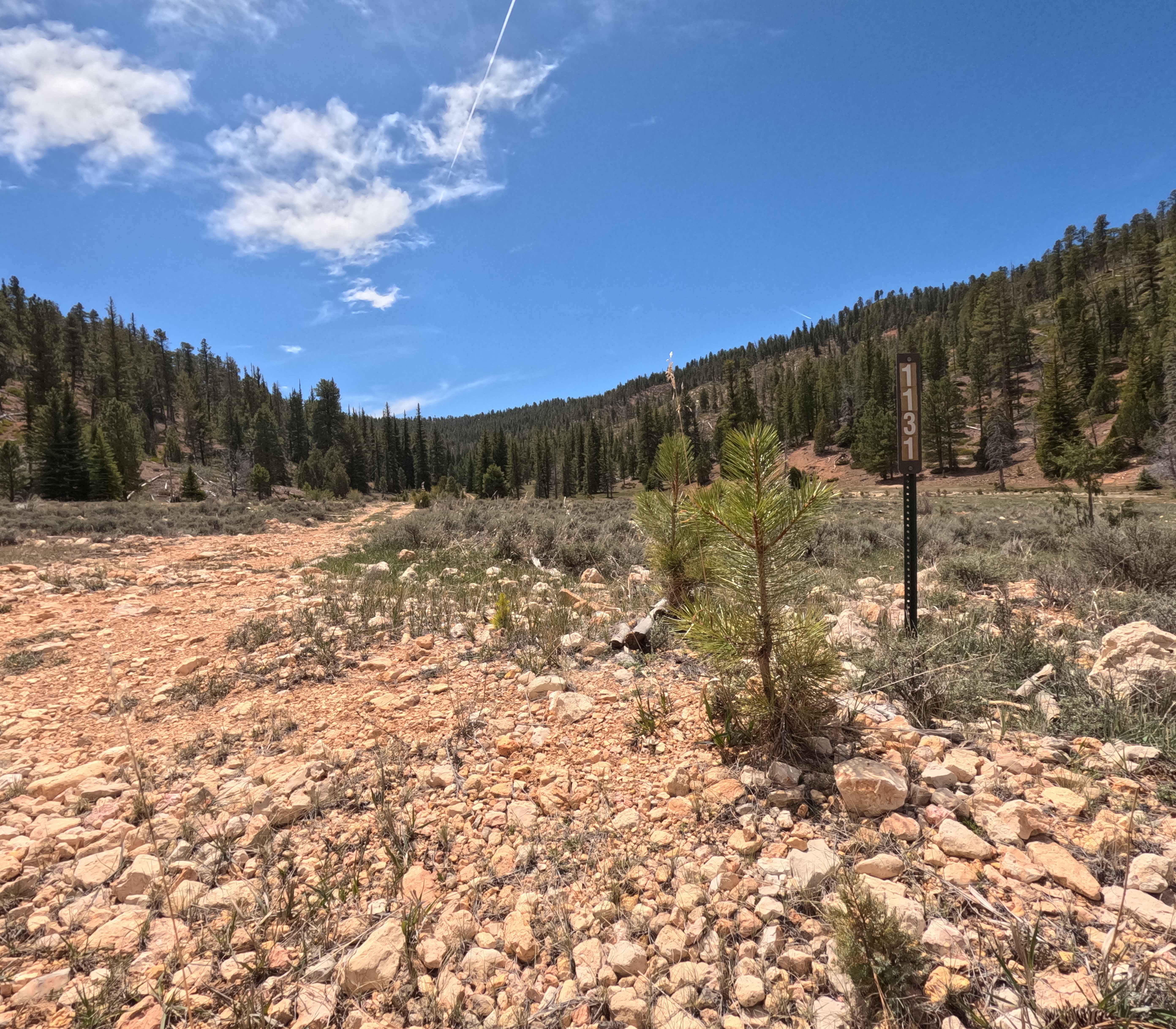 Long Hollow South - FS 31131