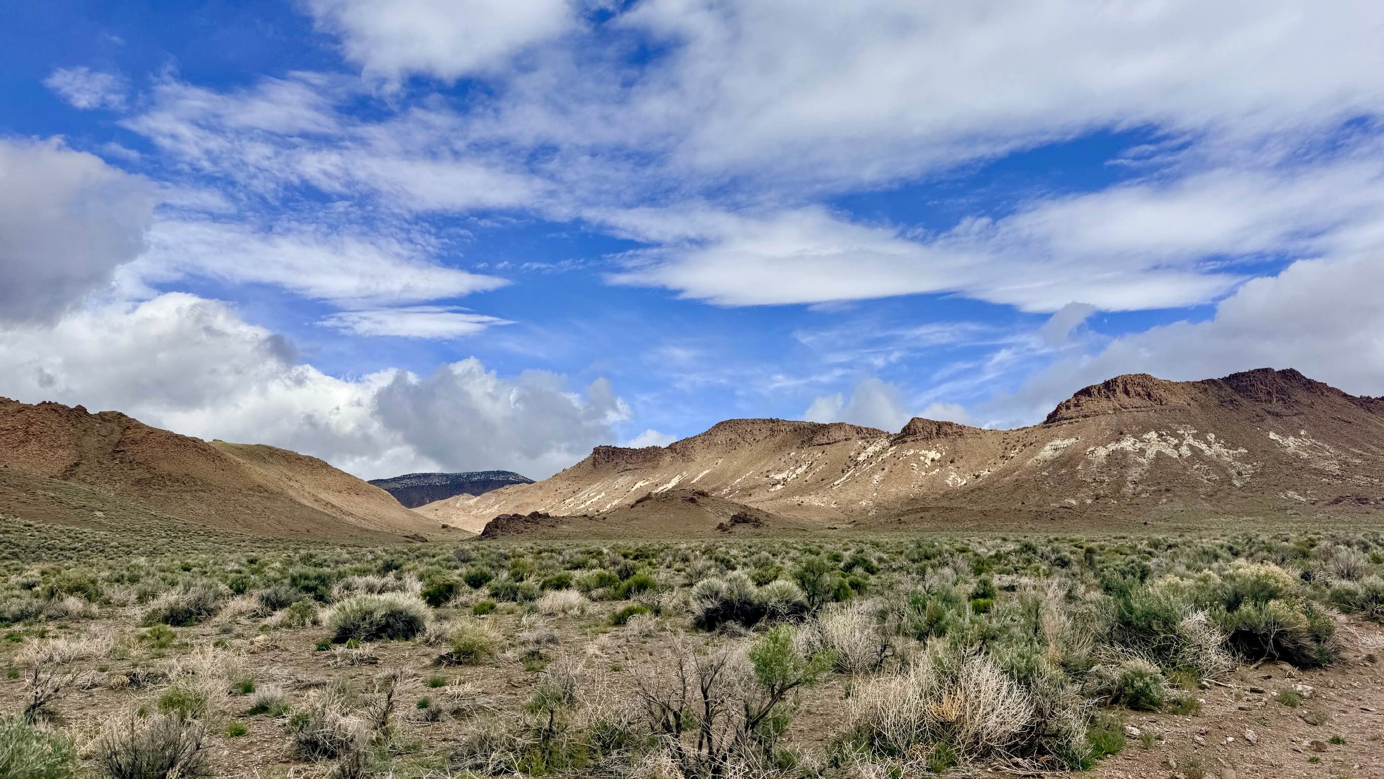Saulsbury Wash - FS 44056