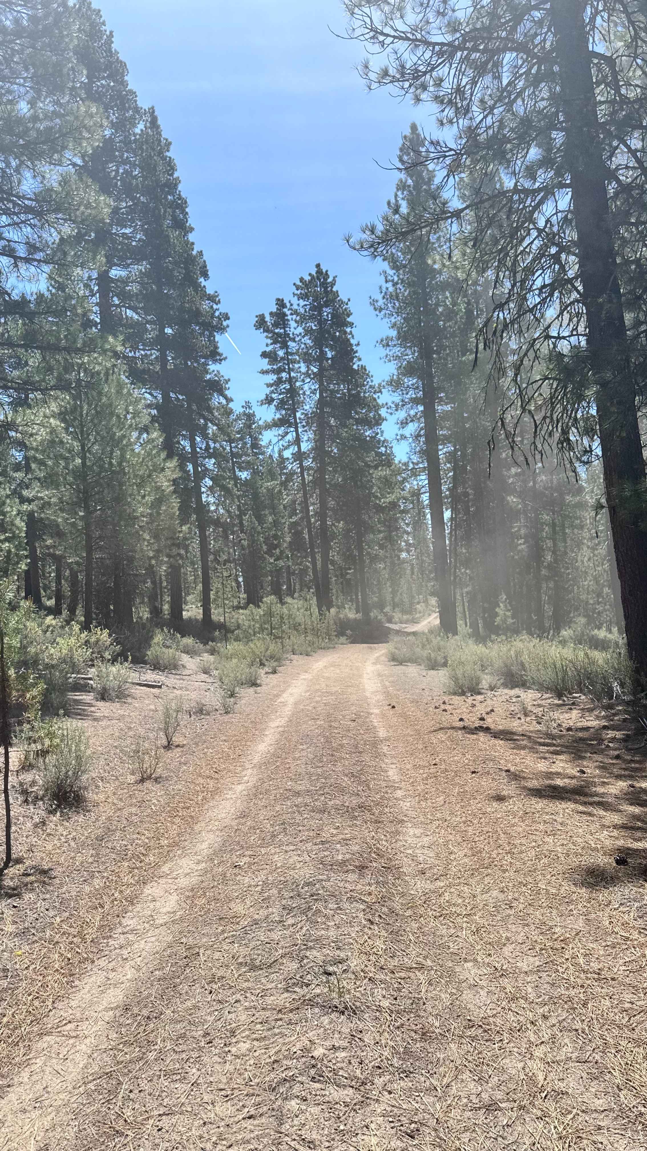 Dry Springs Trail - FS 4331000