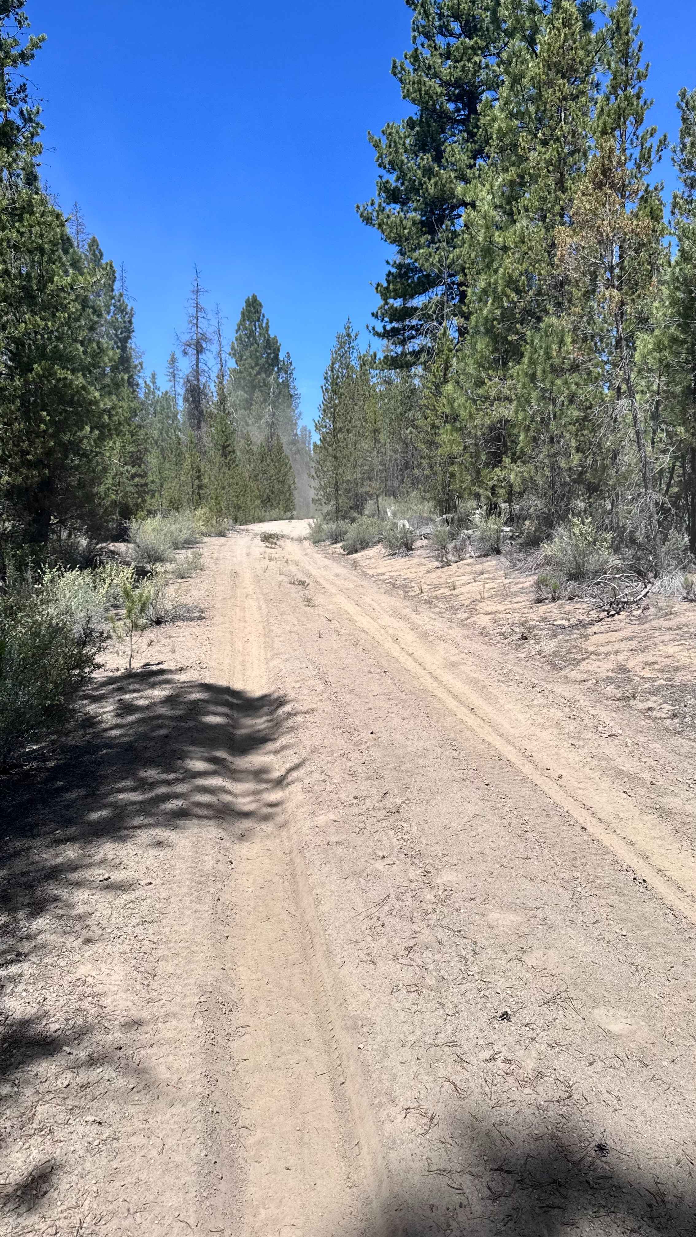 Dry Springs Trail - FS 4331000