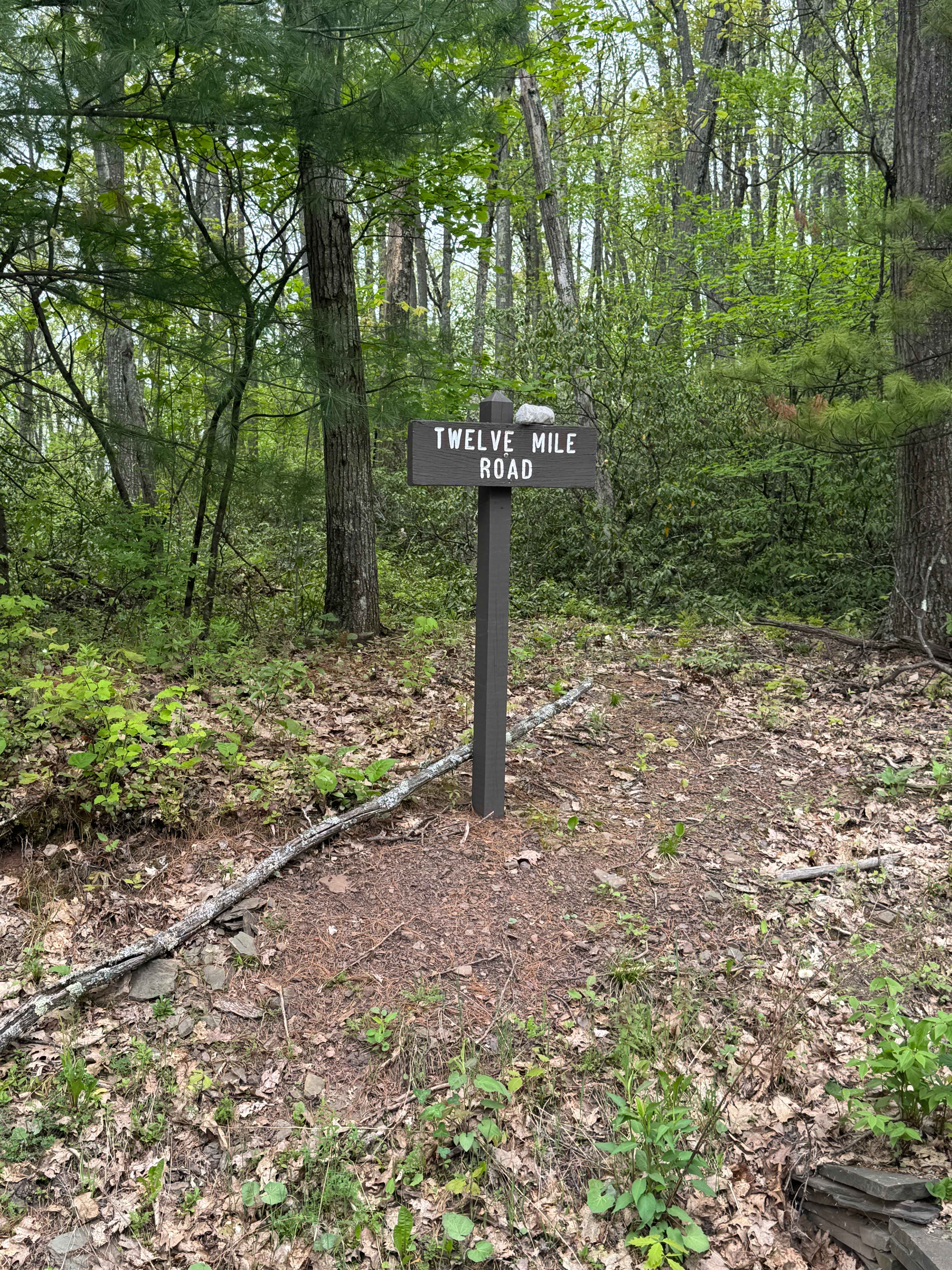 Twelve Mile Road