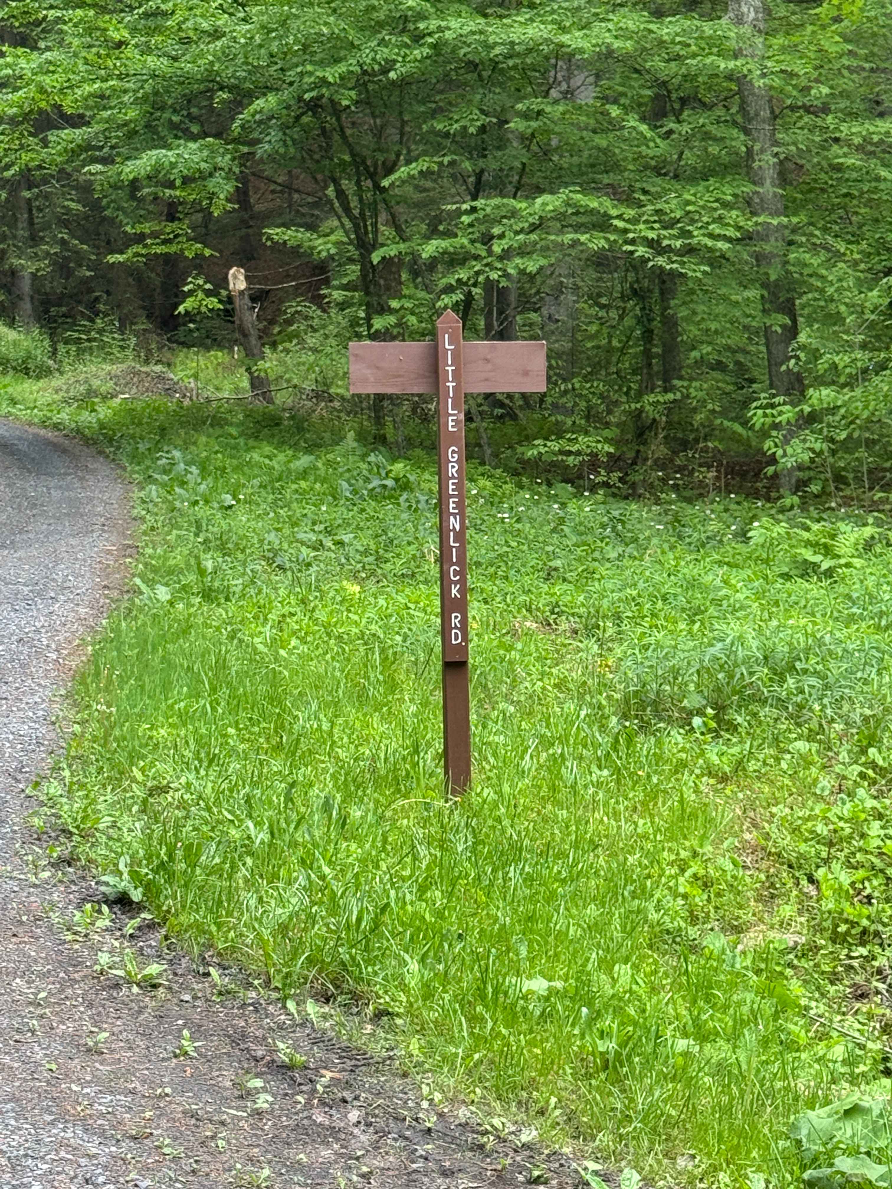 Little Greenlick Road