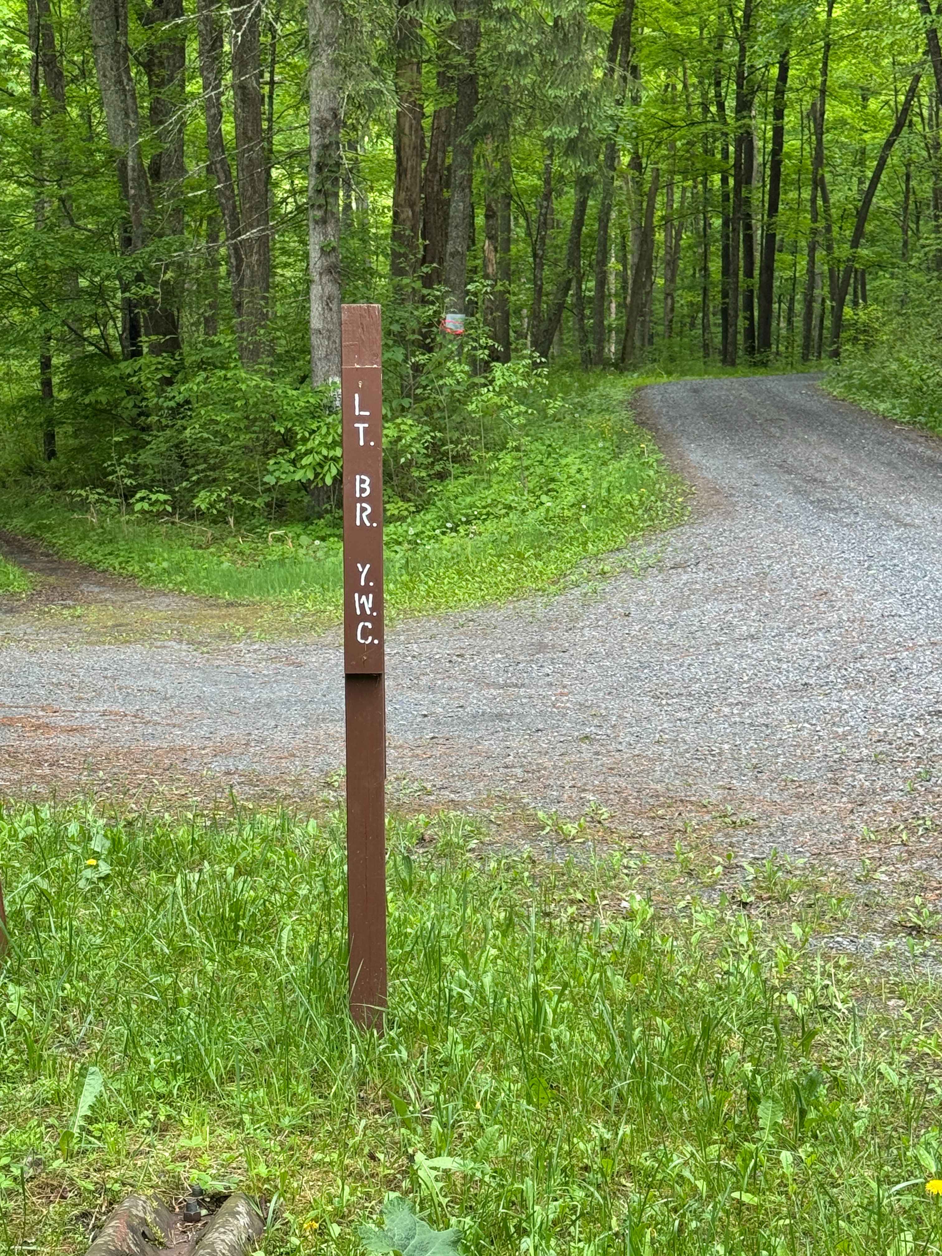 Left Branch Young Womans Creek Road