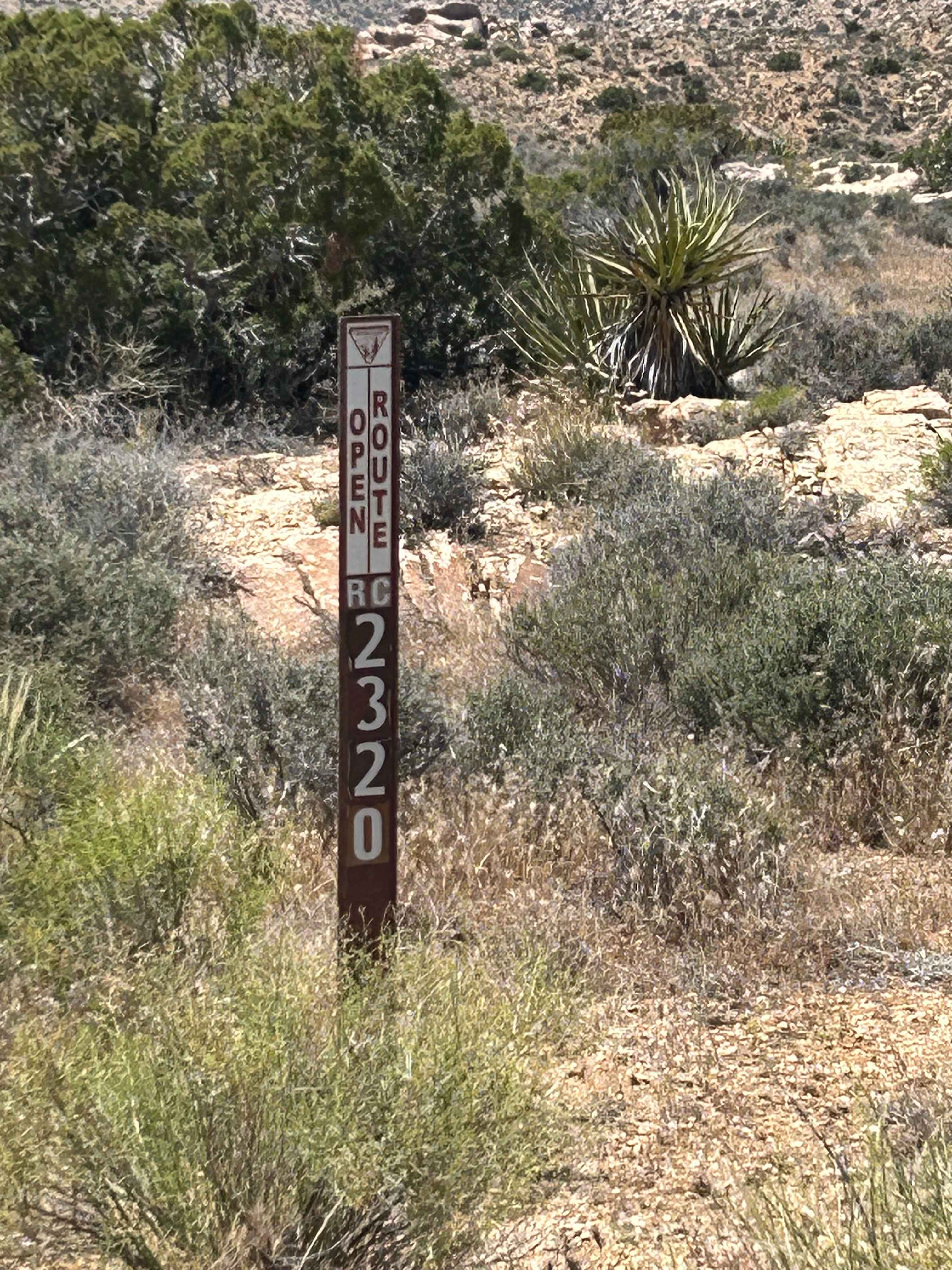 The Buzz Route - BLM 2320