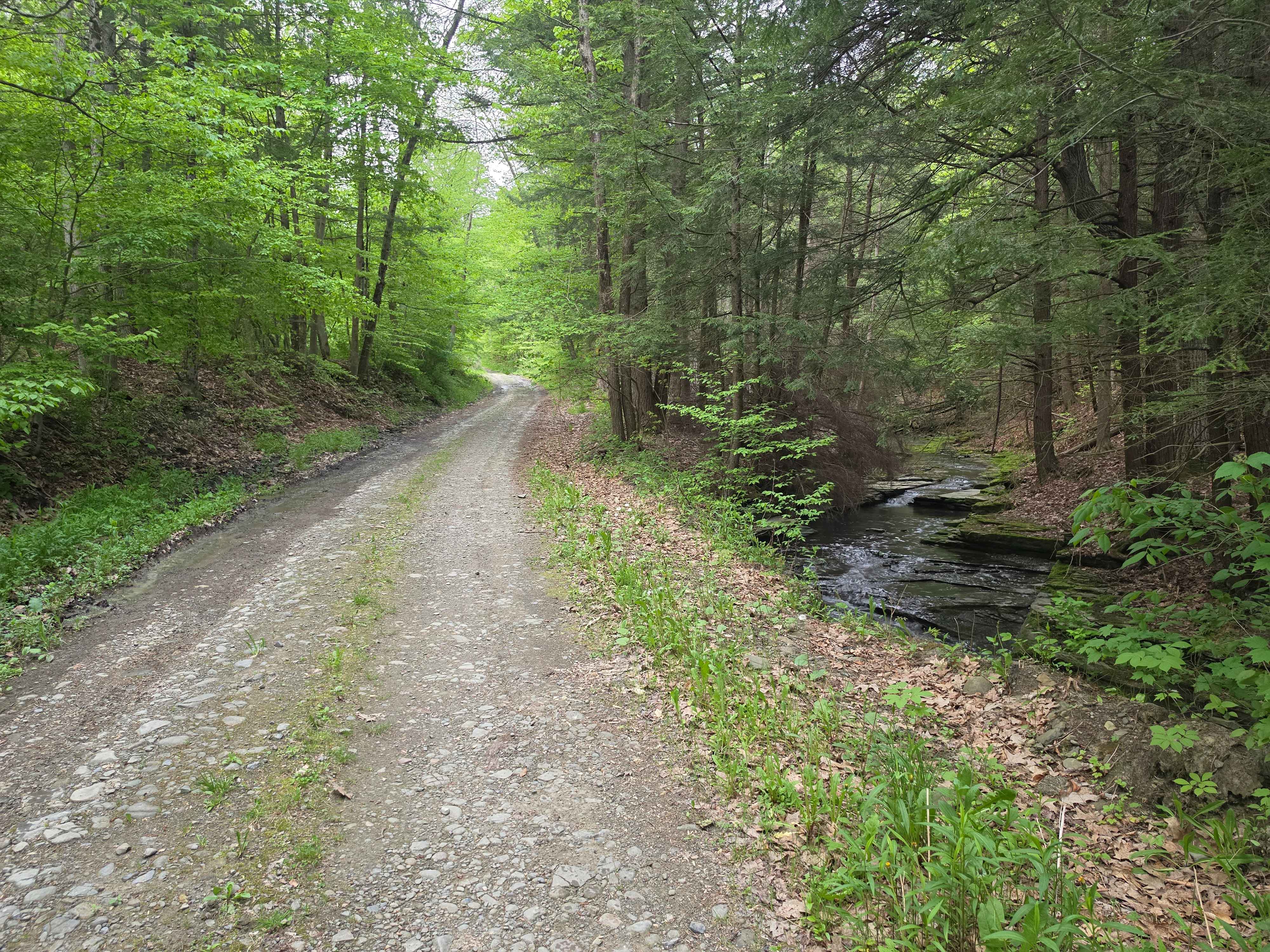 Steve Russell Hill Road