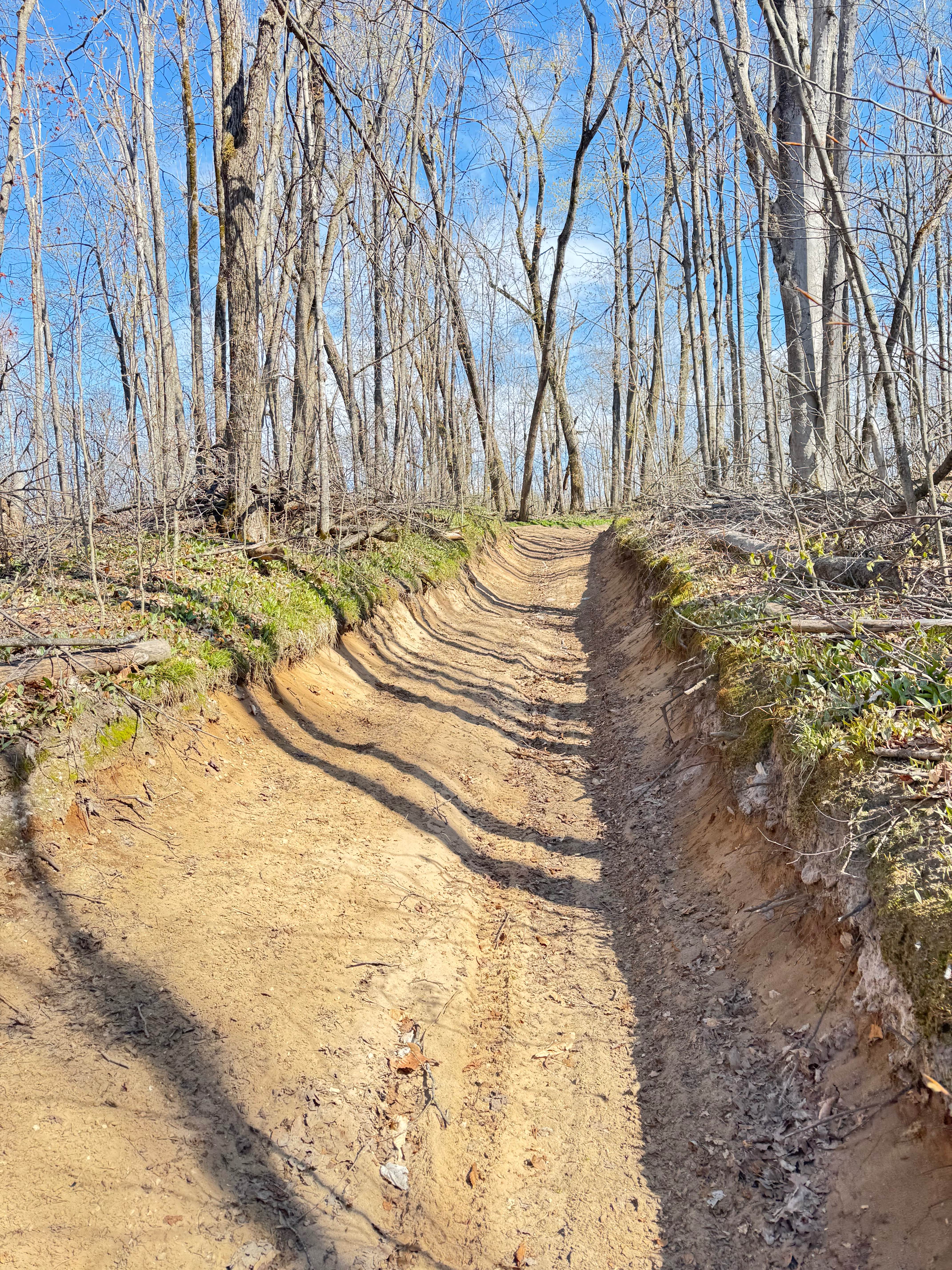 Tomahawk C loop Connector