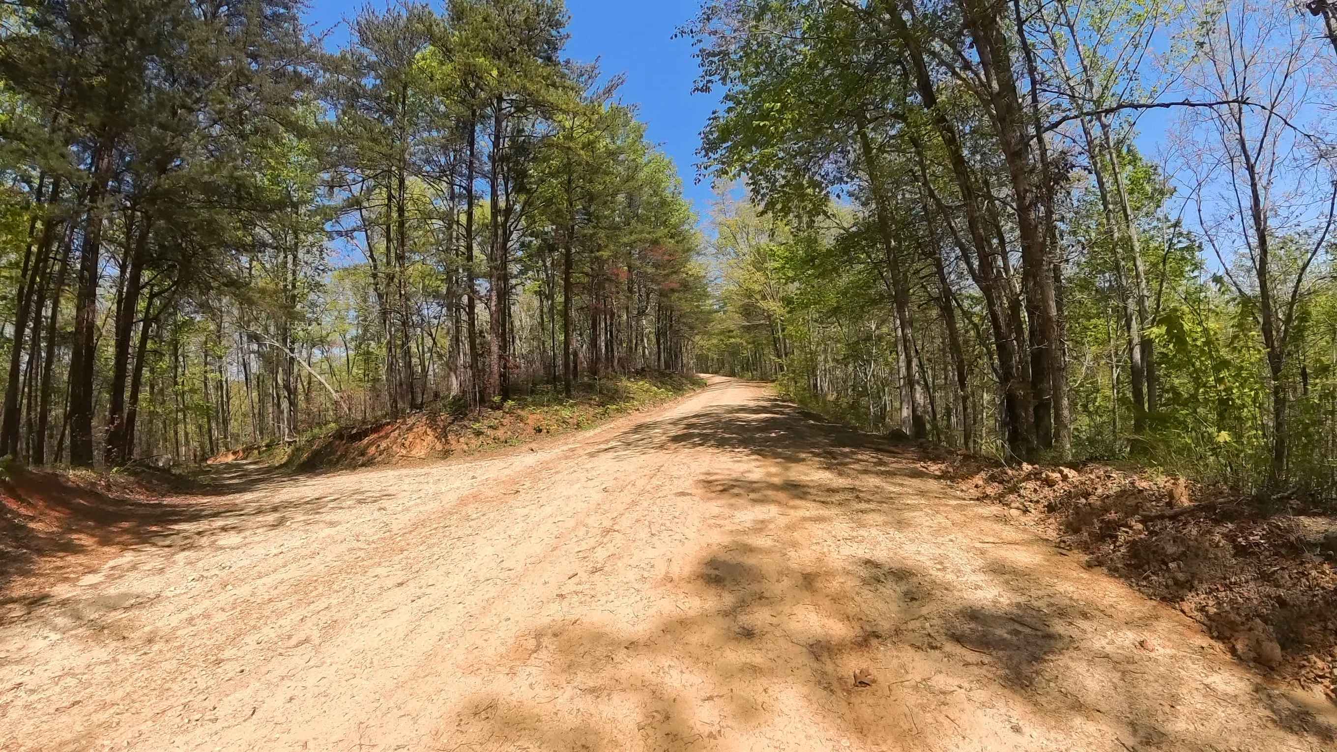 Forest Road 744C