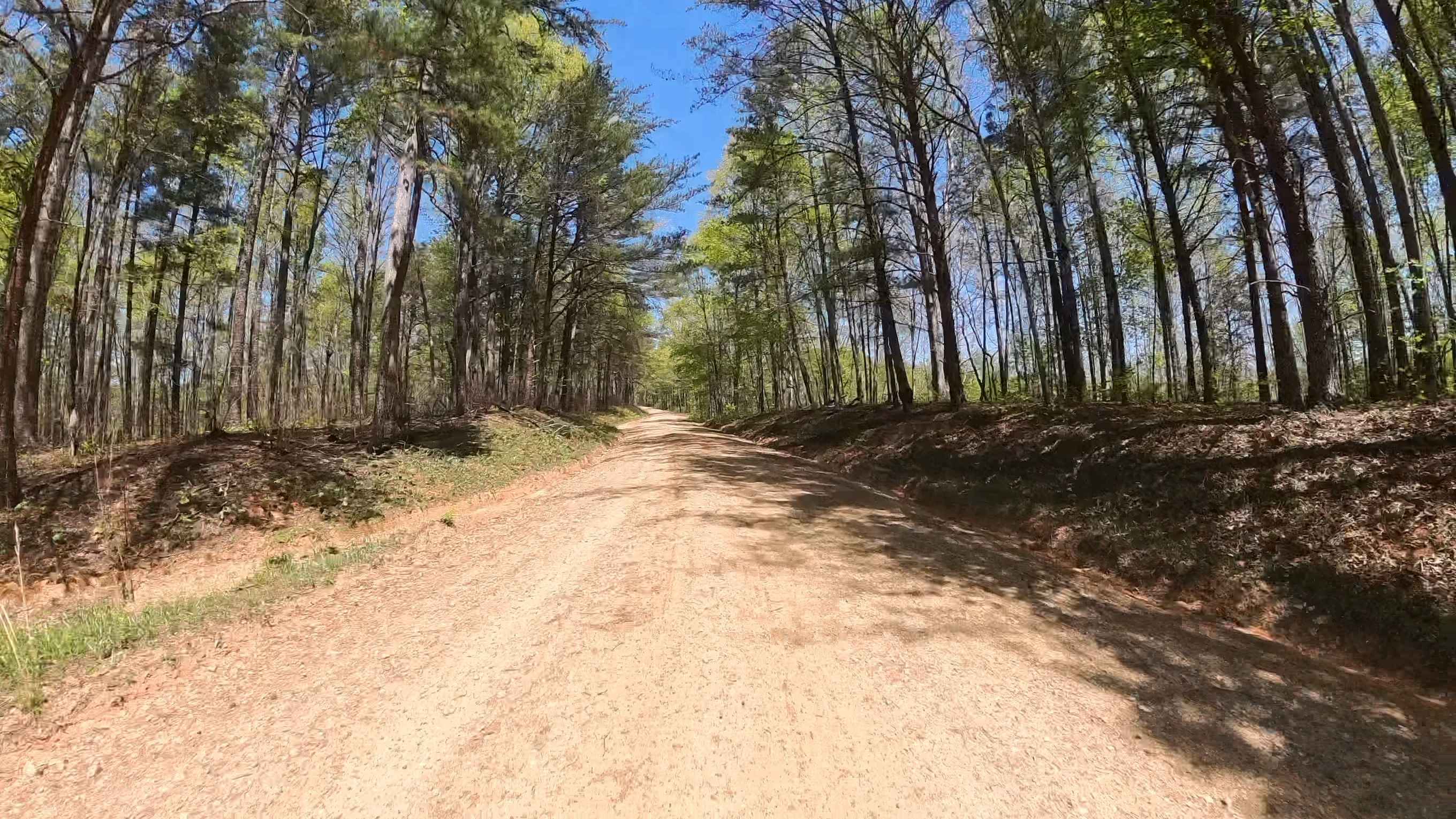 Forest Road 744C