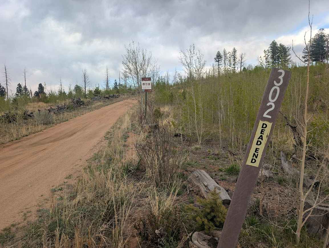 Ormes Peak Road