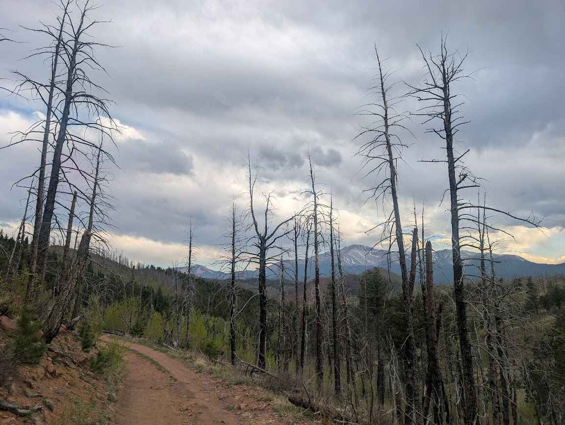 Ormes Peak Road