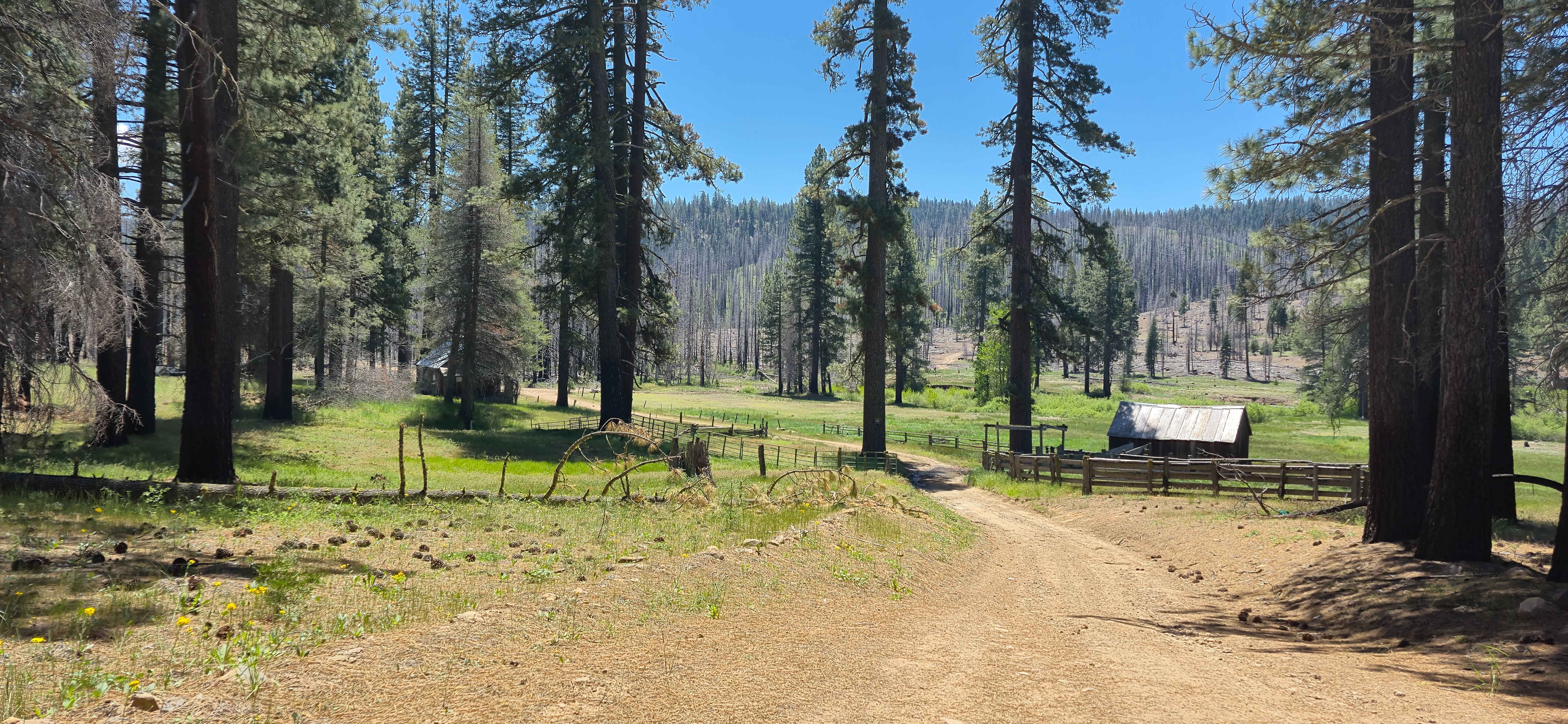 Alder Creek - FS 11N46