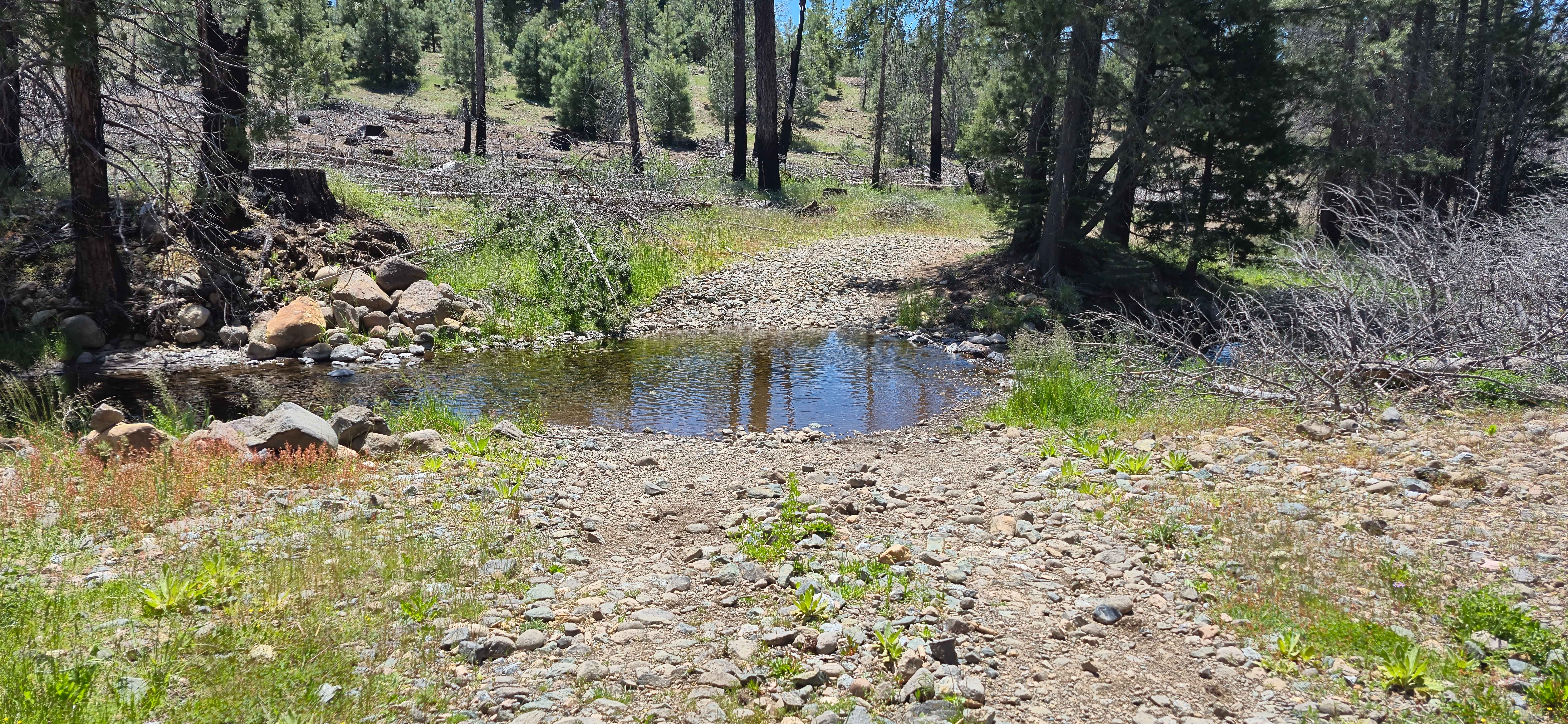 Alder Creek - FS 11N46