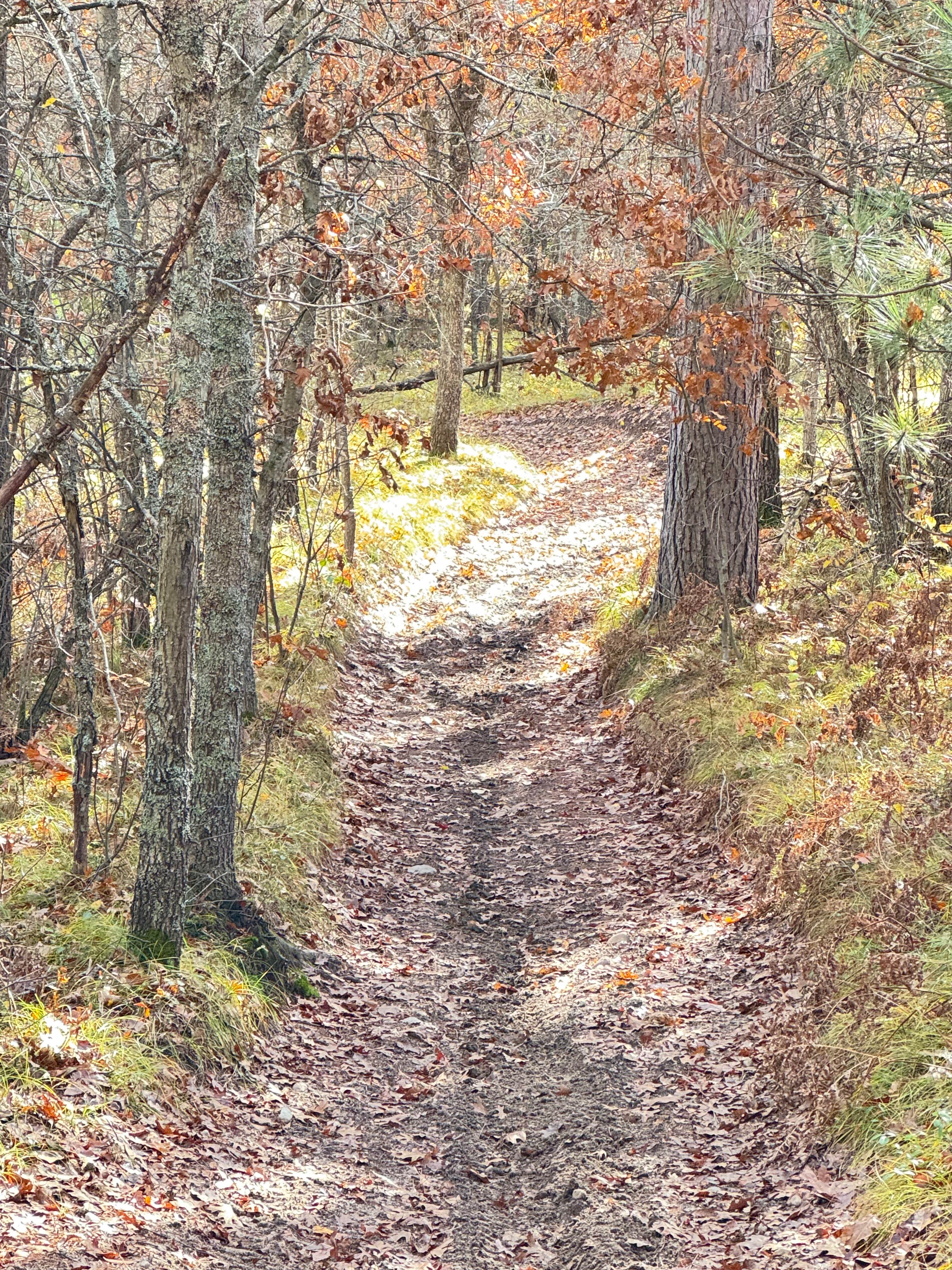 Ambrose Lake to Rose City Trail