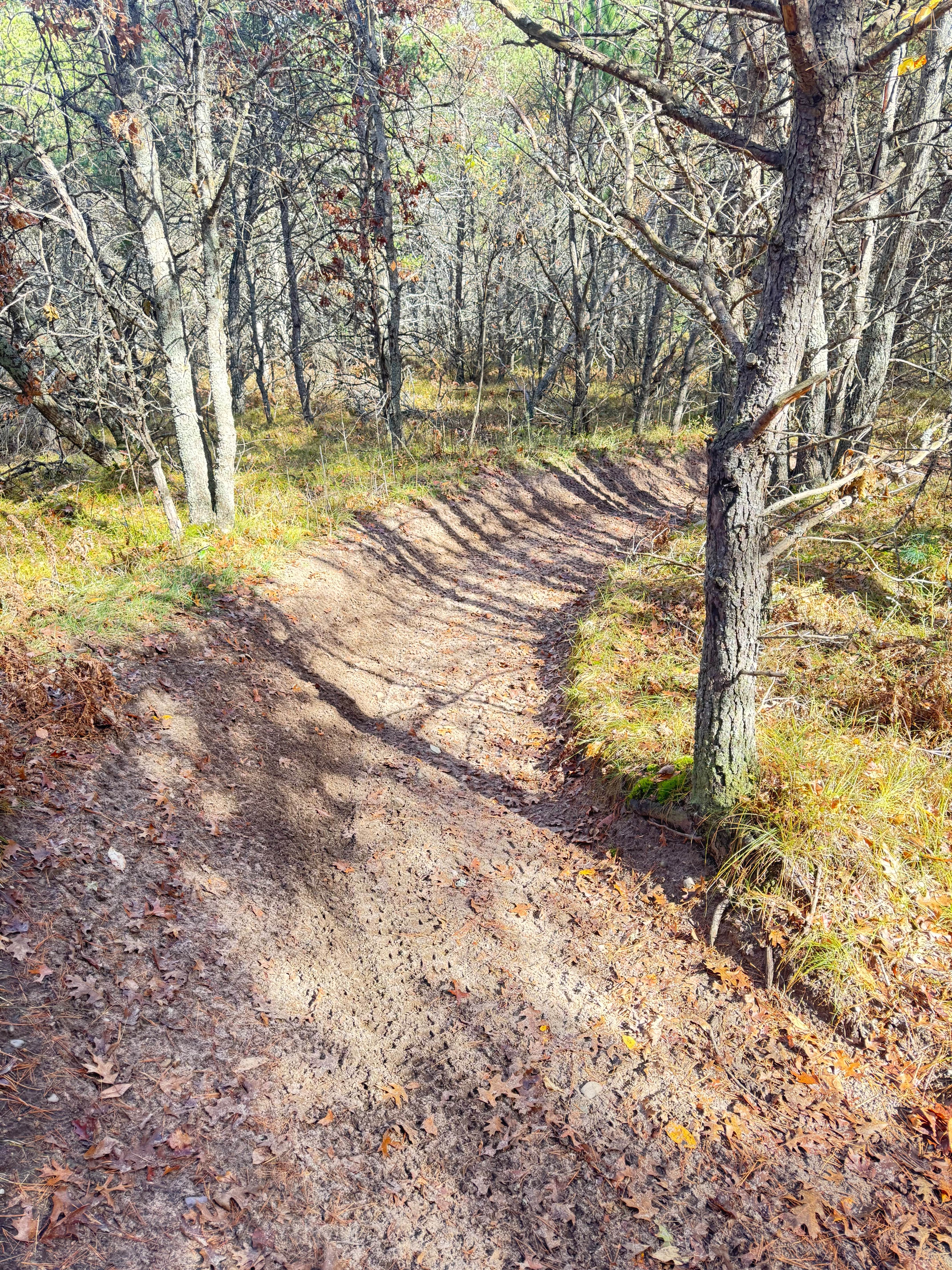 Ambrose Lake to Rose City Trail