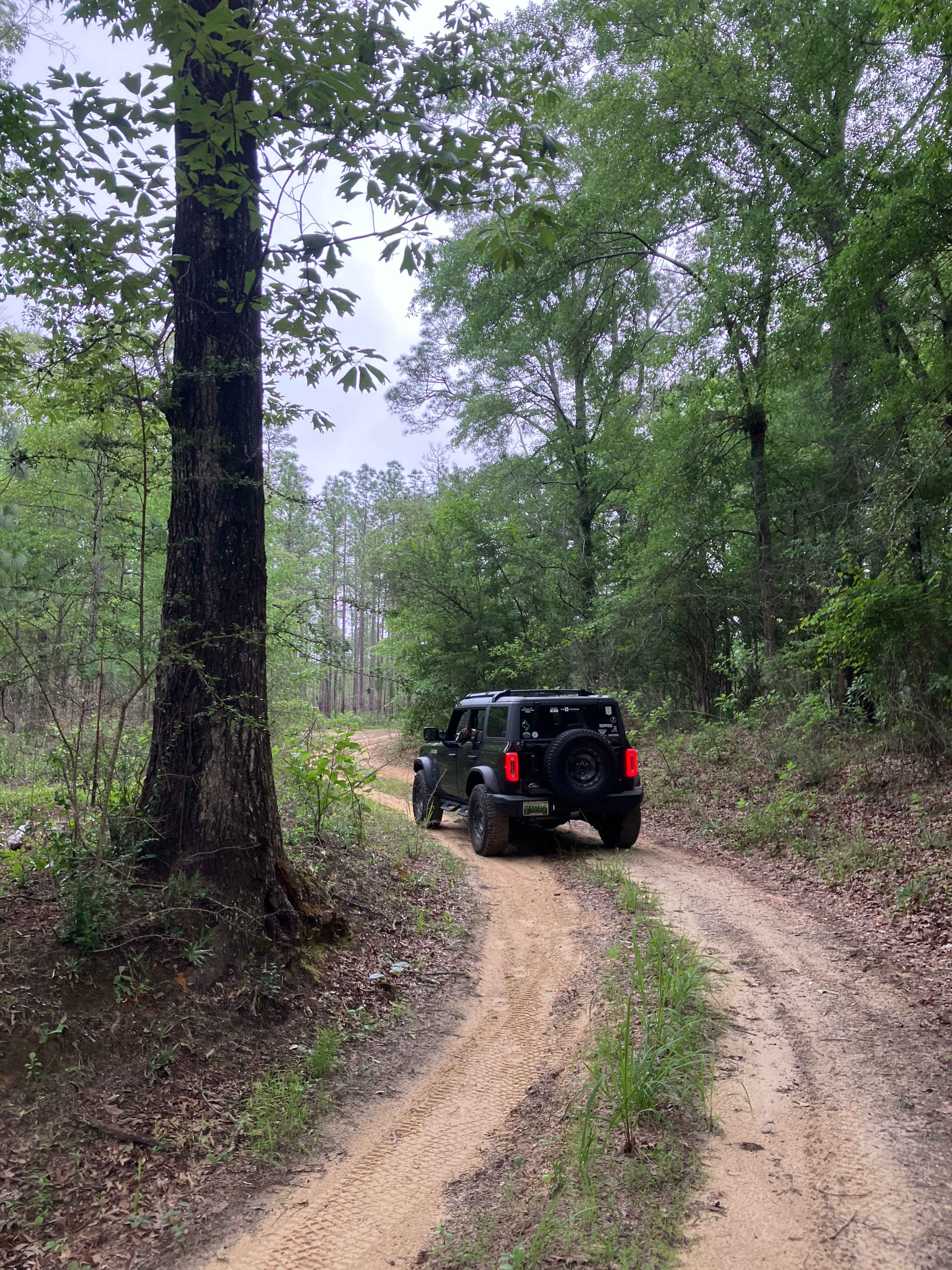 S109