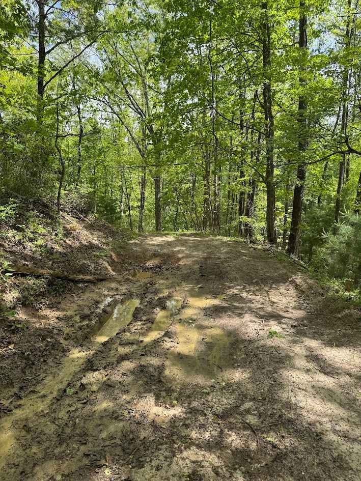 Walker Mountain