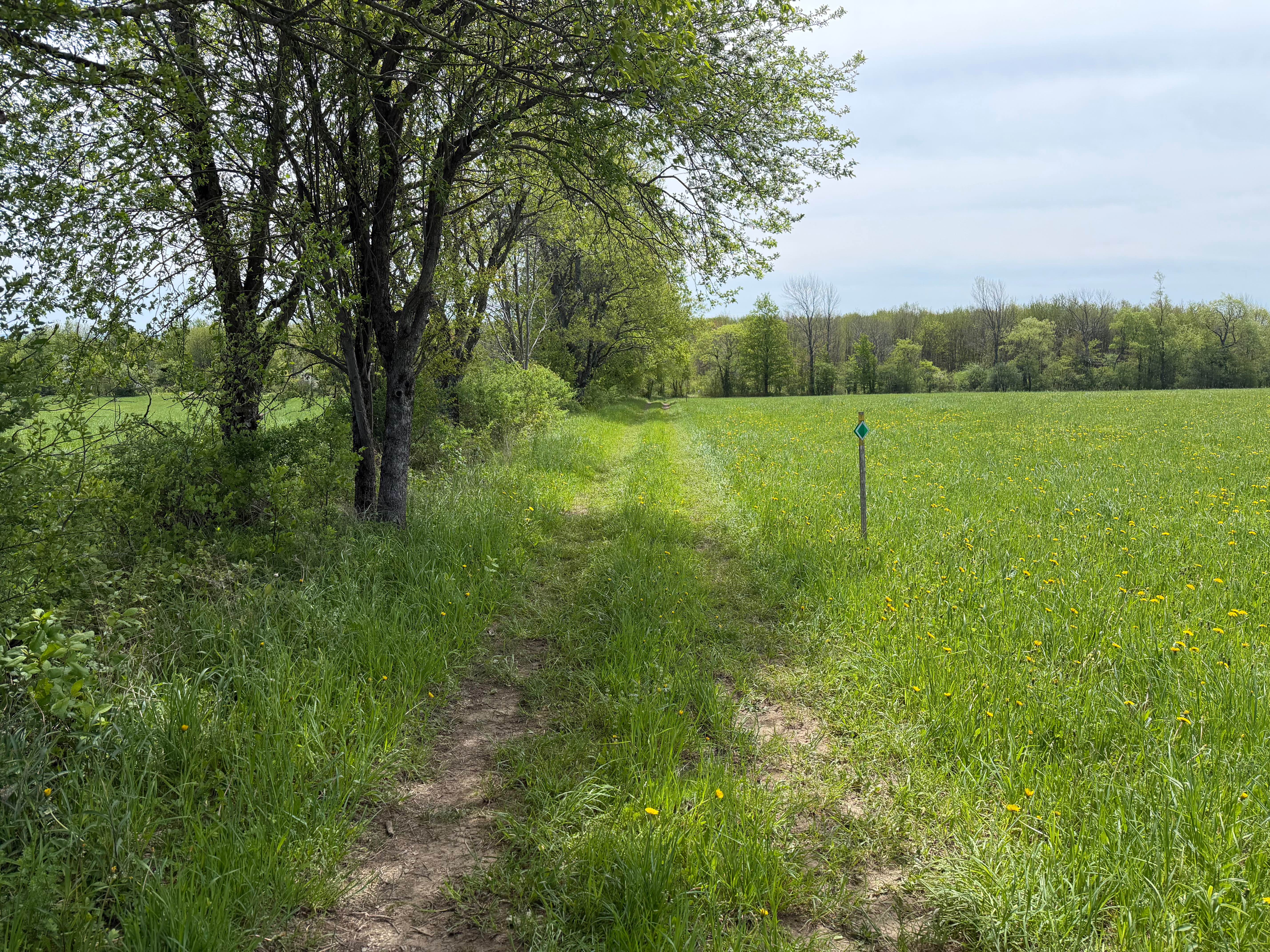Grower Green Trail West