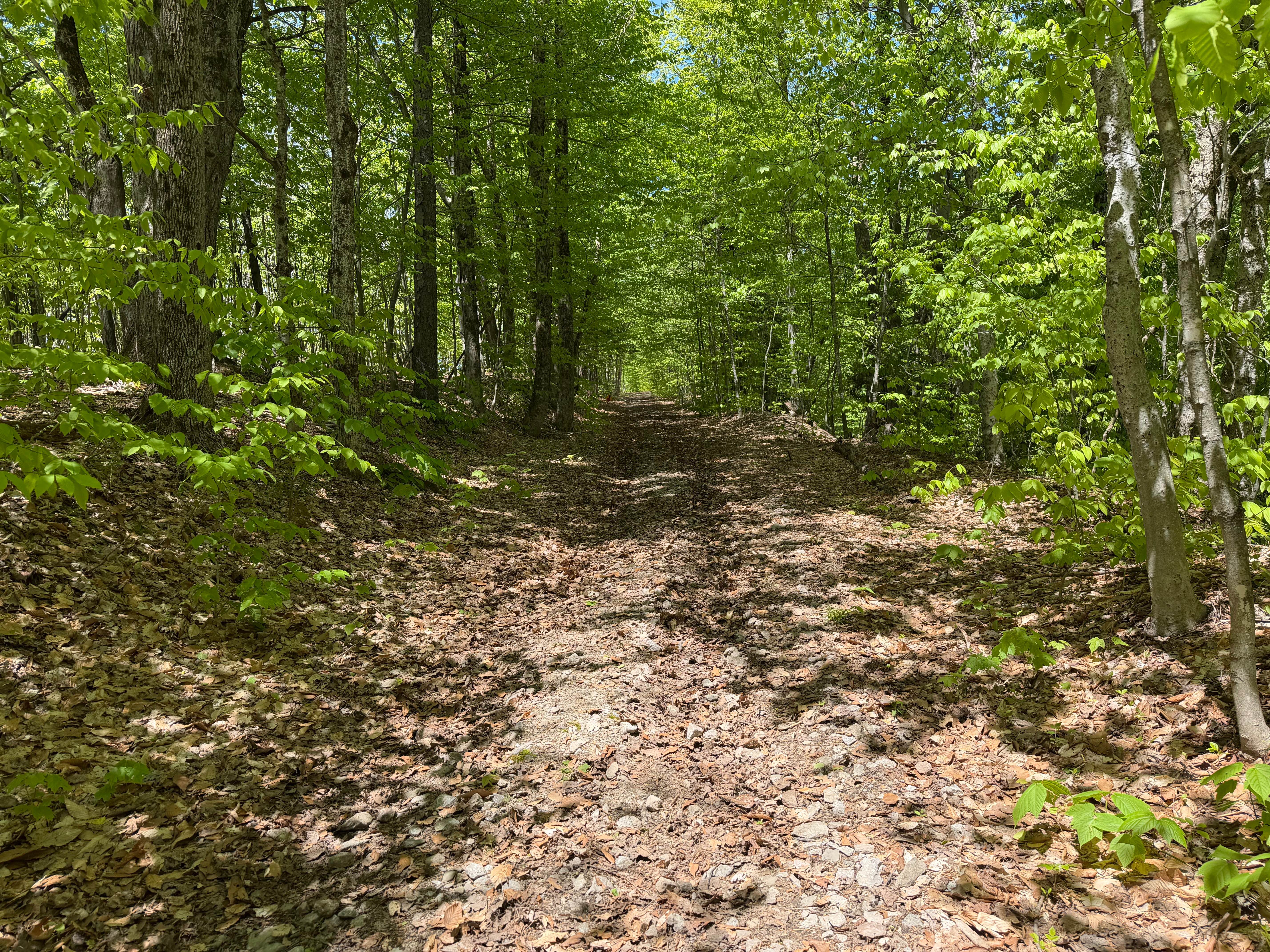 Grower Green Trail East - 1