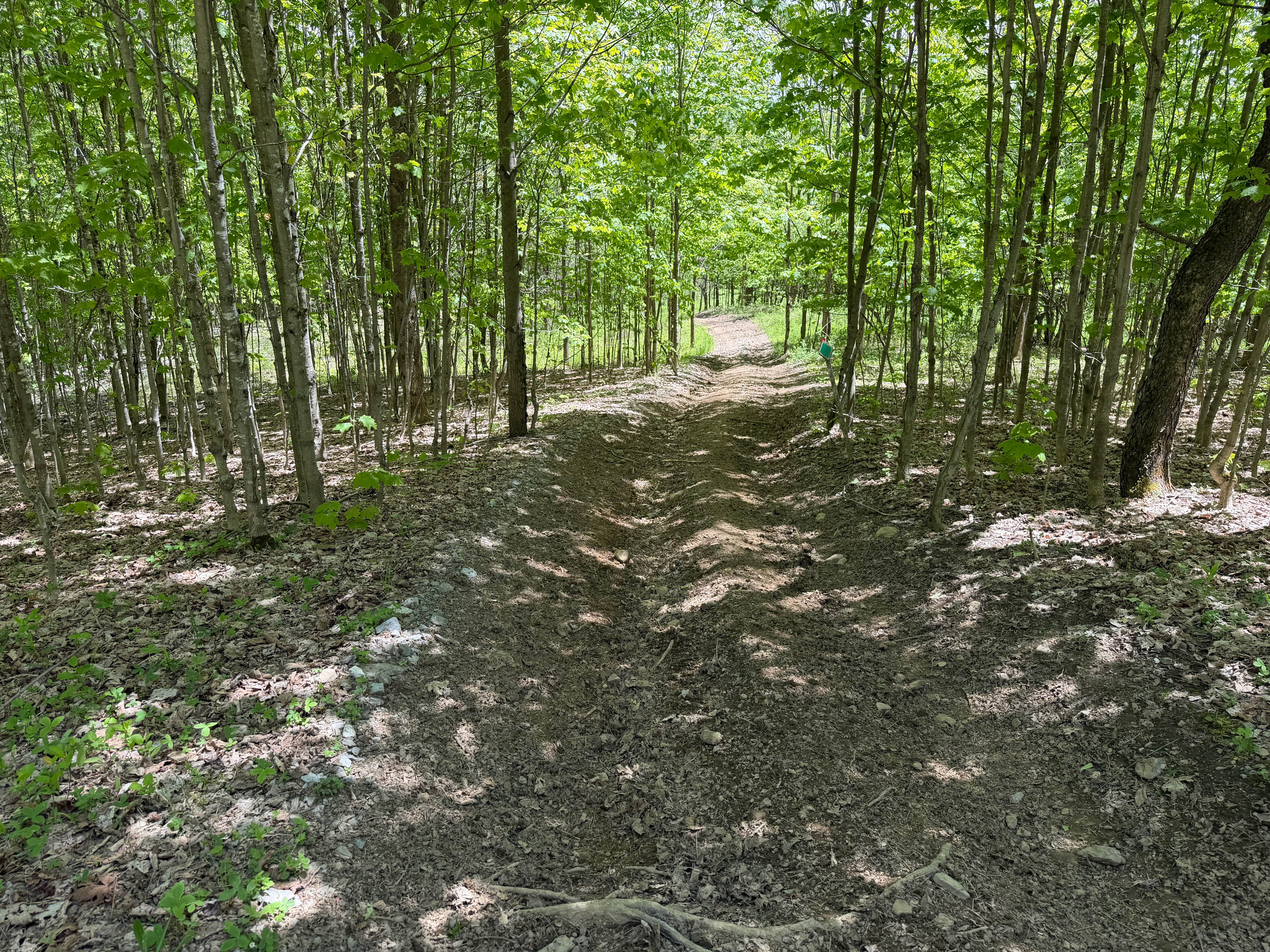 Grower Green Trail East - 2