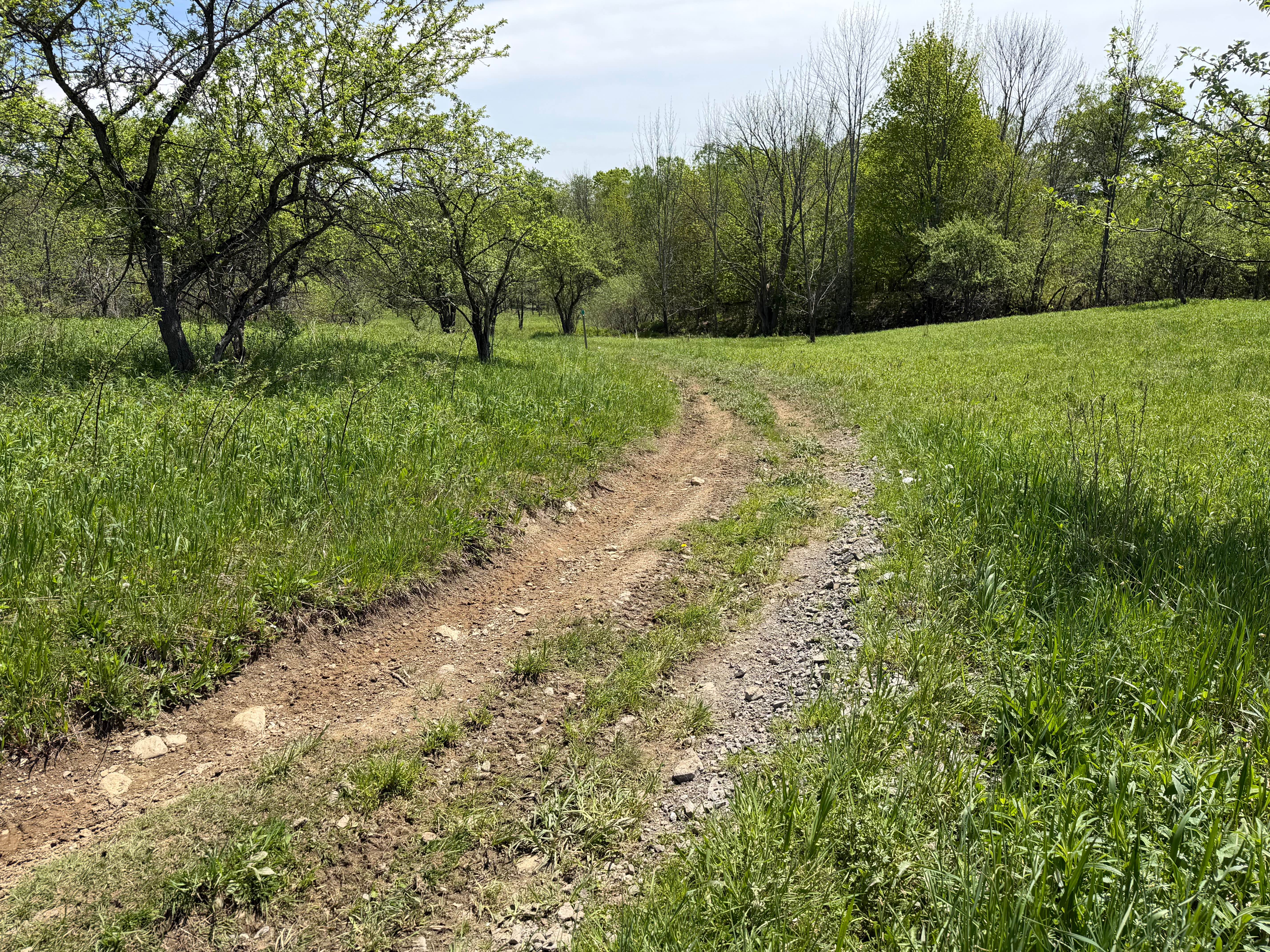 Grower Green Trail East - 2