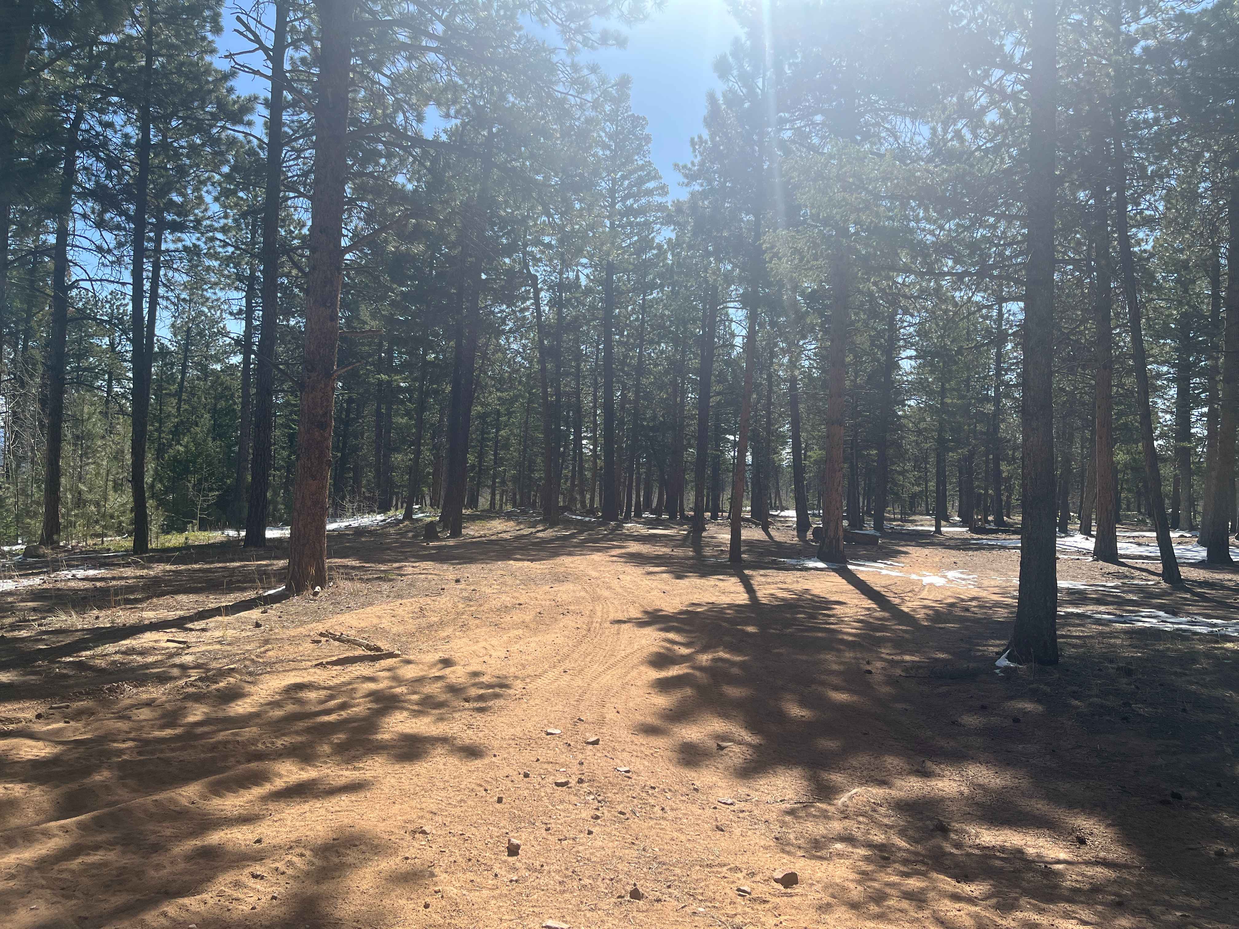 Dist Boundary Road