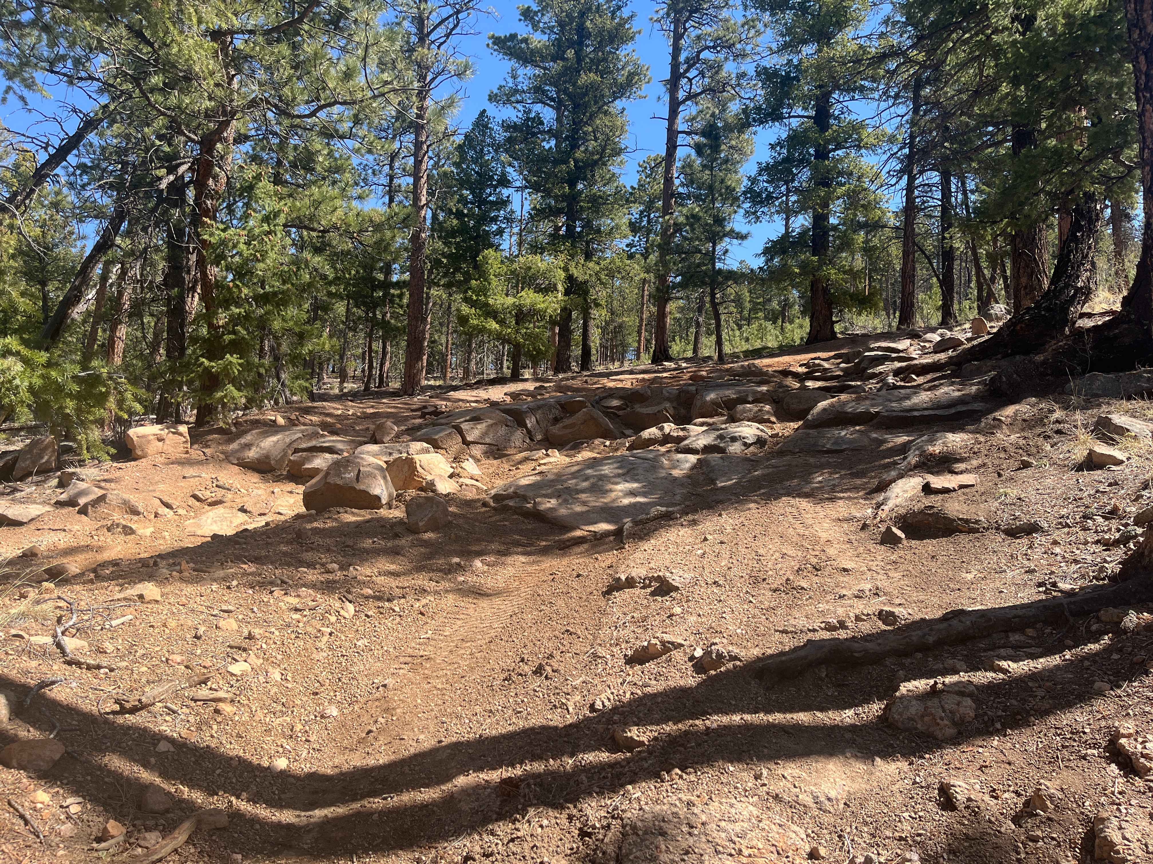 Predator Road
