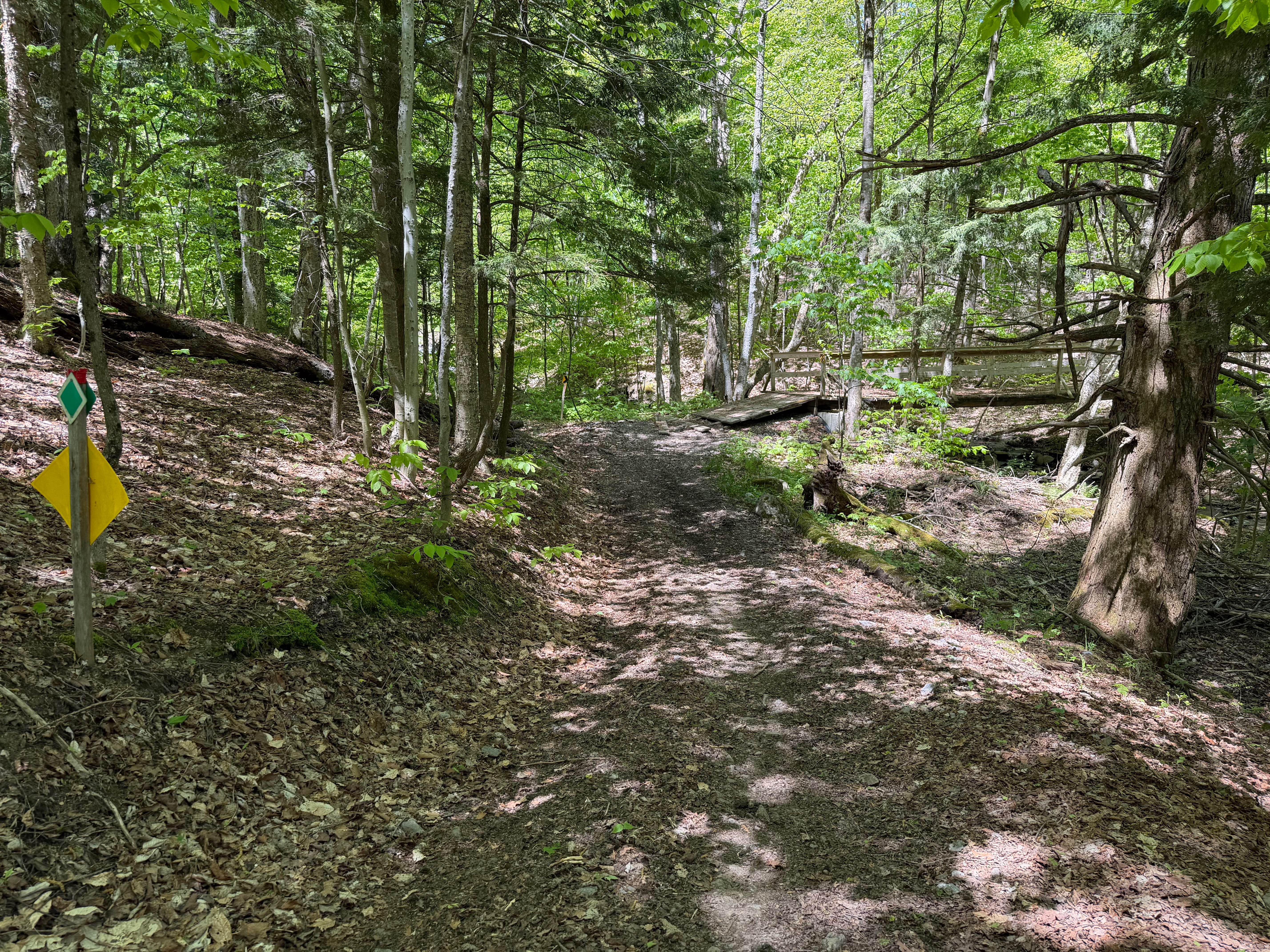Grower Green Trail East - 3