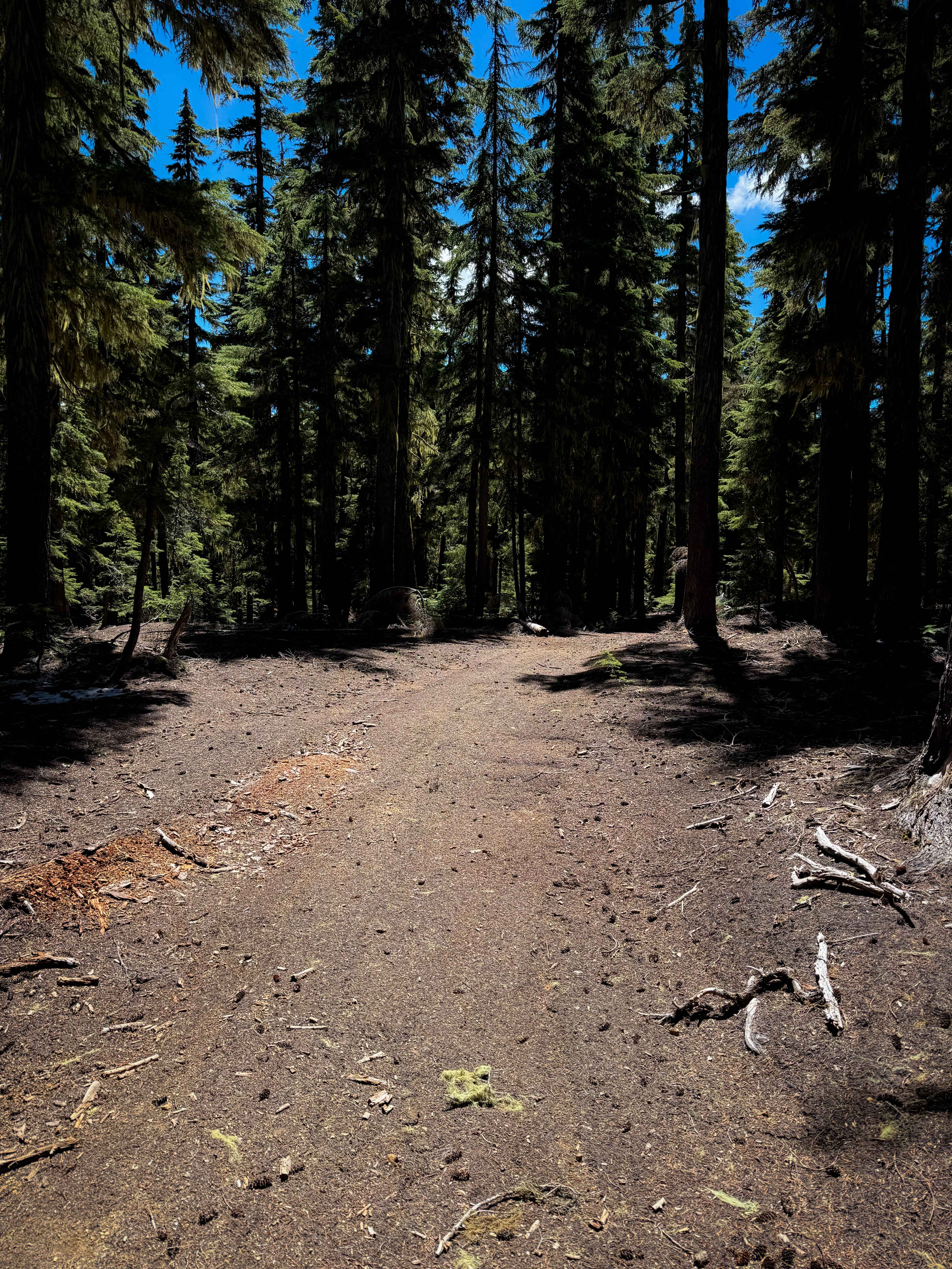 Calamut Way
