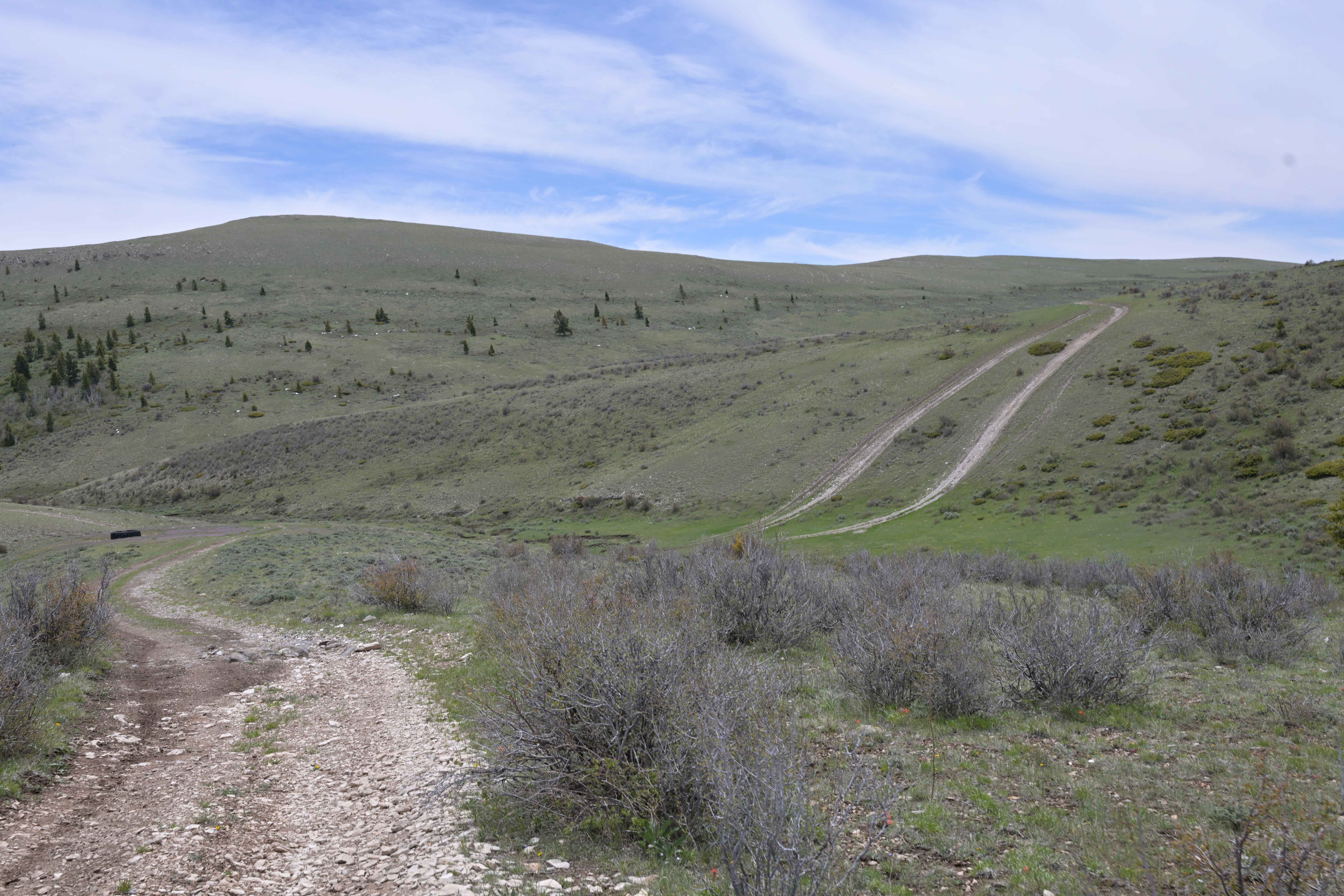 East Draw Diamond Ridge Connector - FS 122