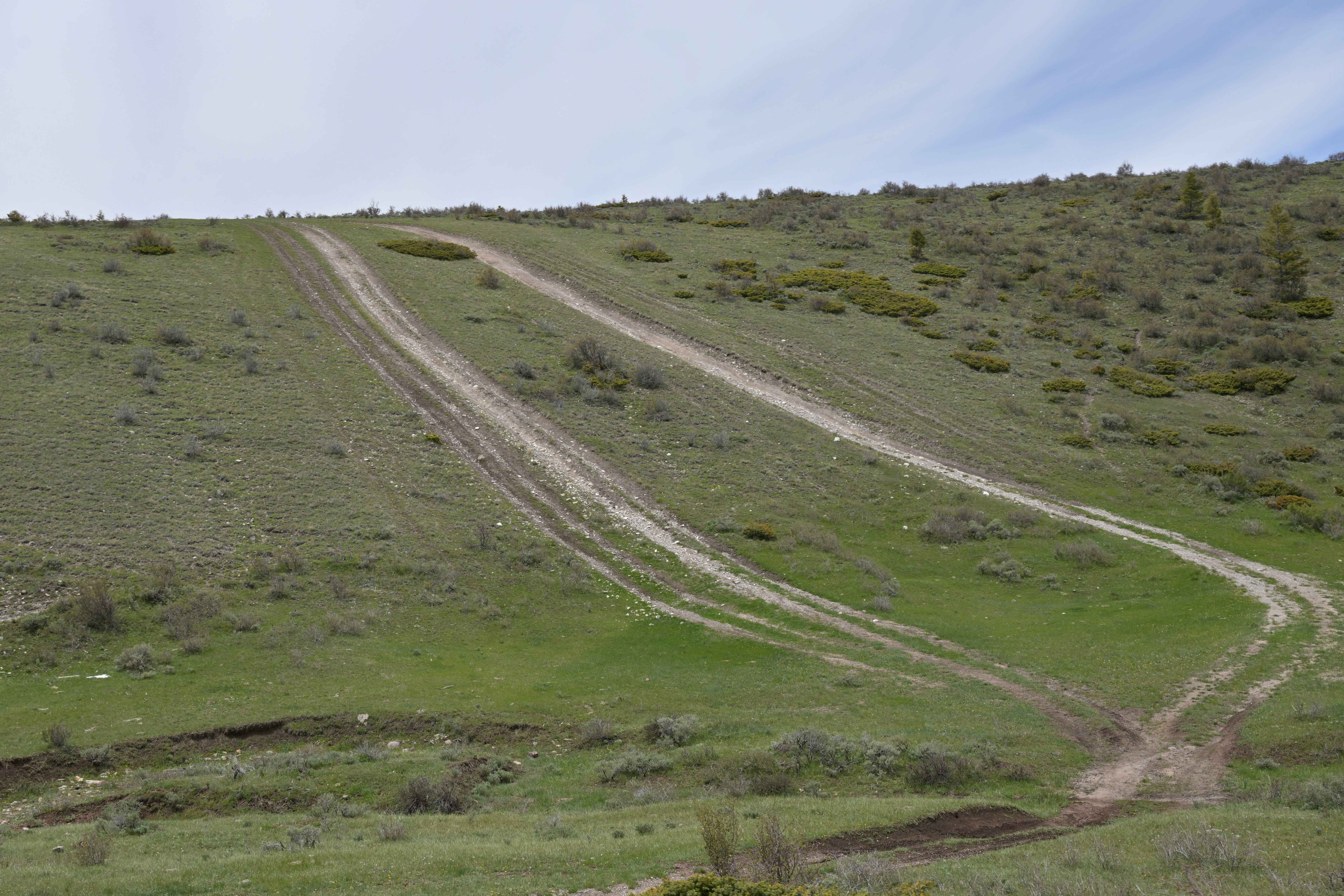 East Draw Diamond Ridge Connector - FS 122