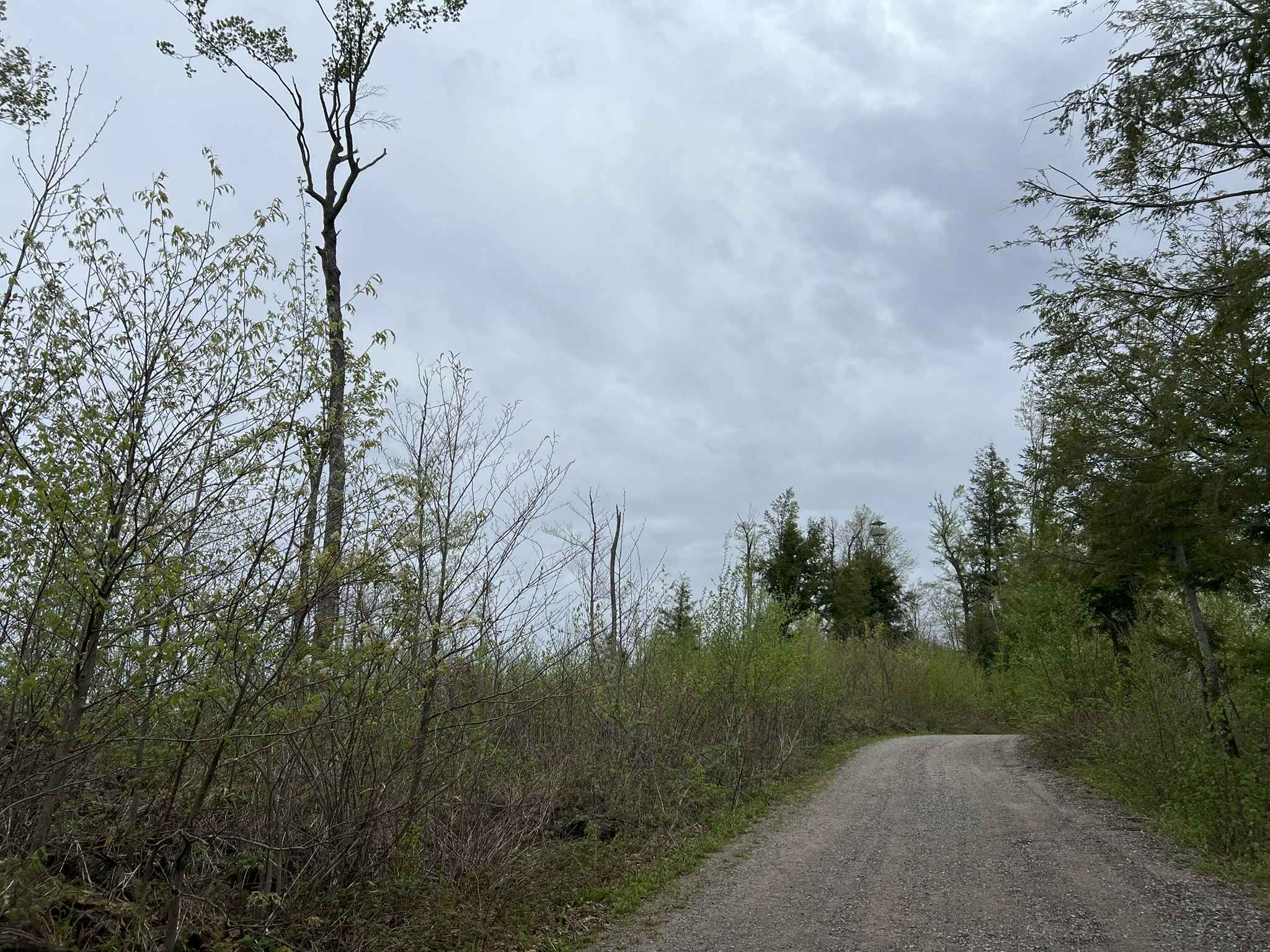 Mountain Tower Road