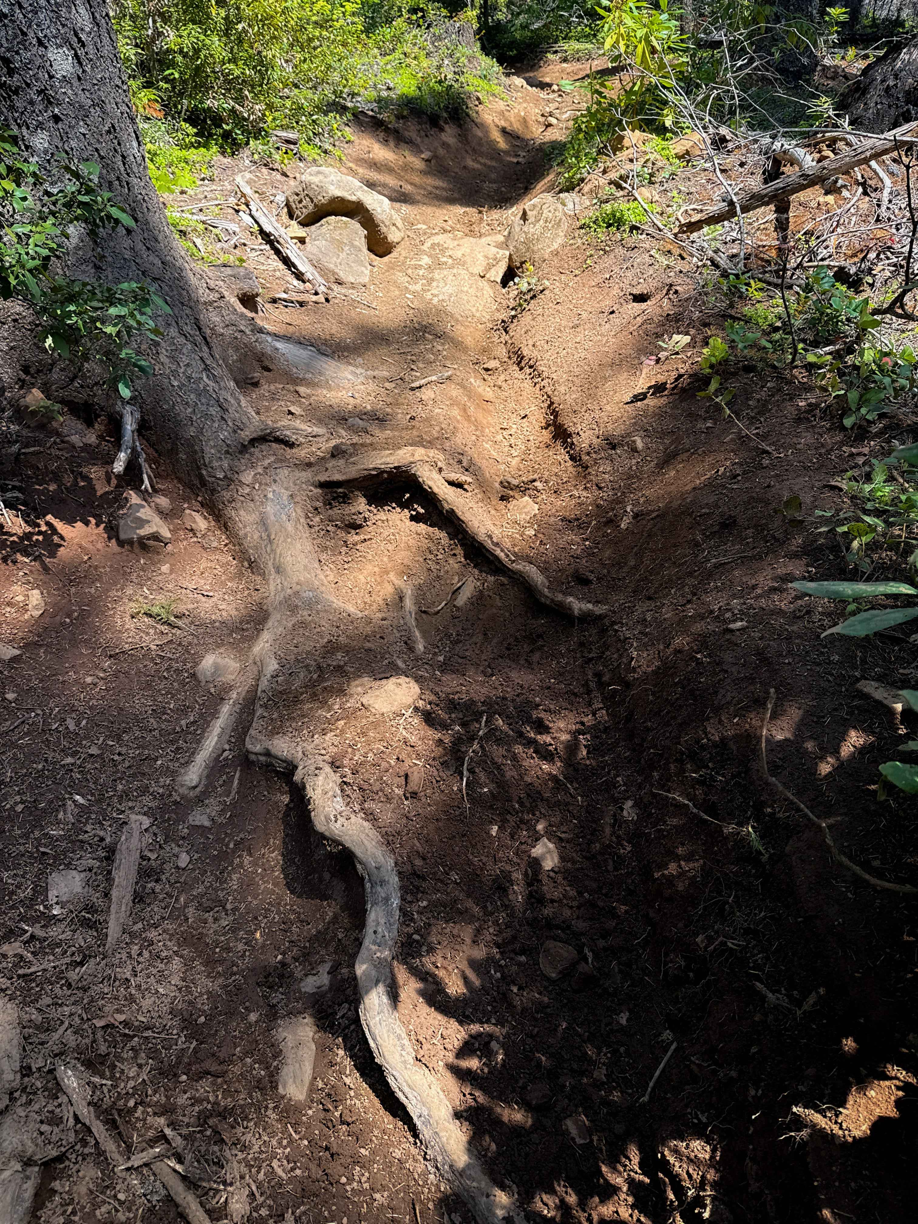 108 (Single-Track)