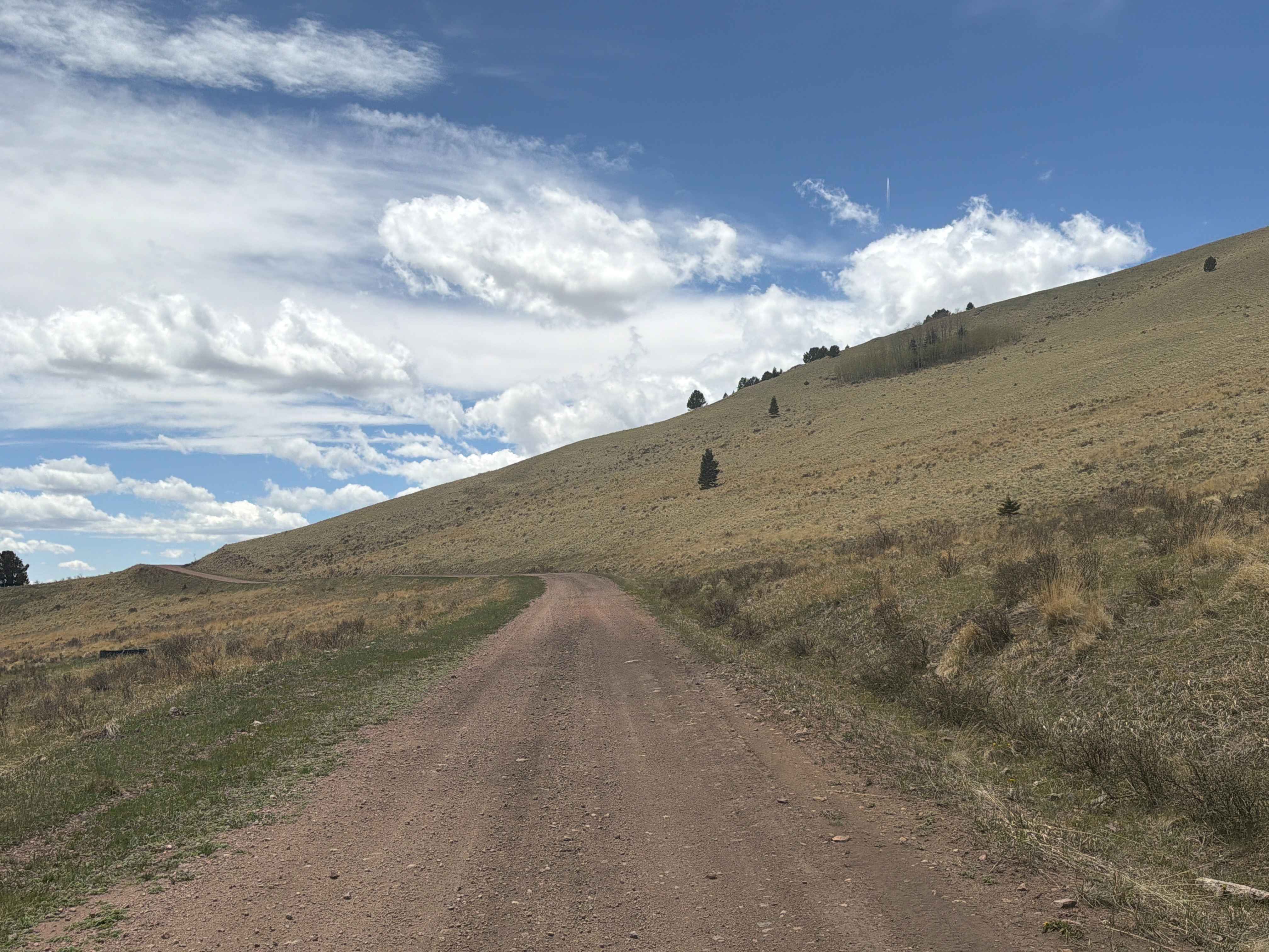Gardner Road