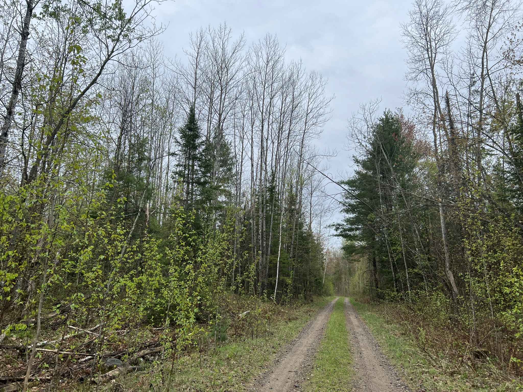 East Sunrise Road - FS 2683