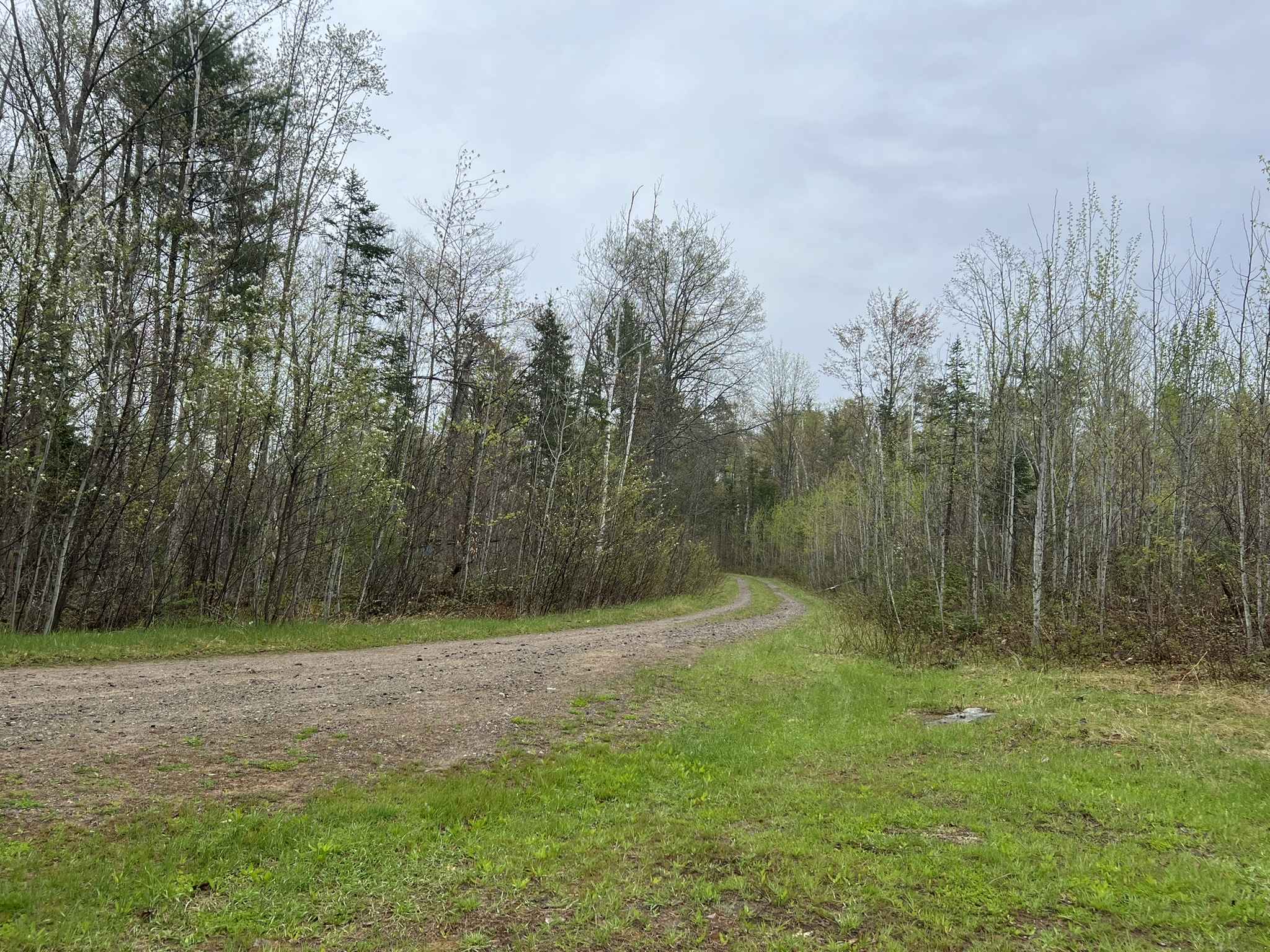 East Sunrise Road - FS 2683