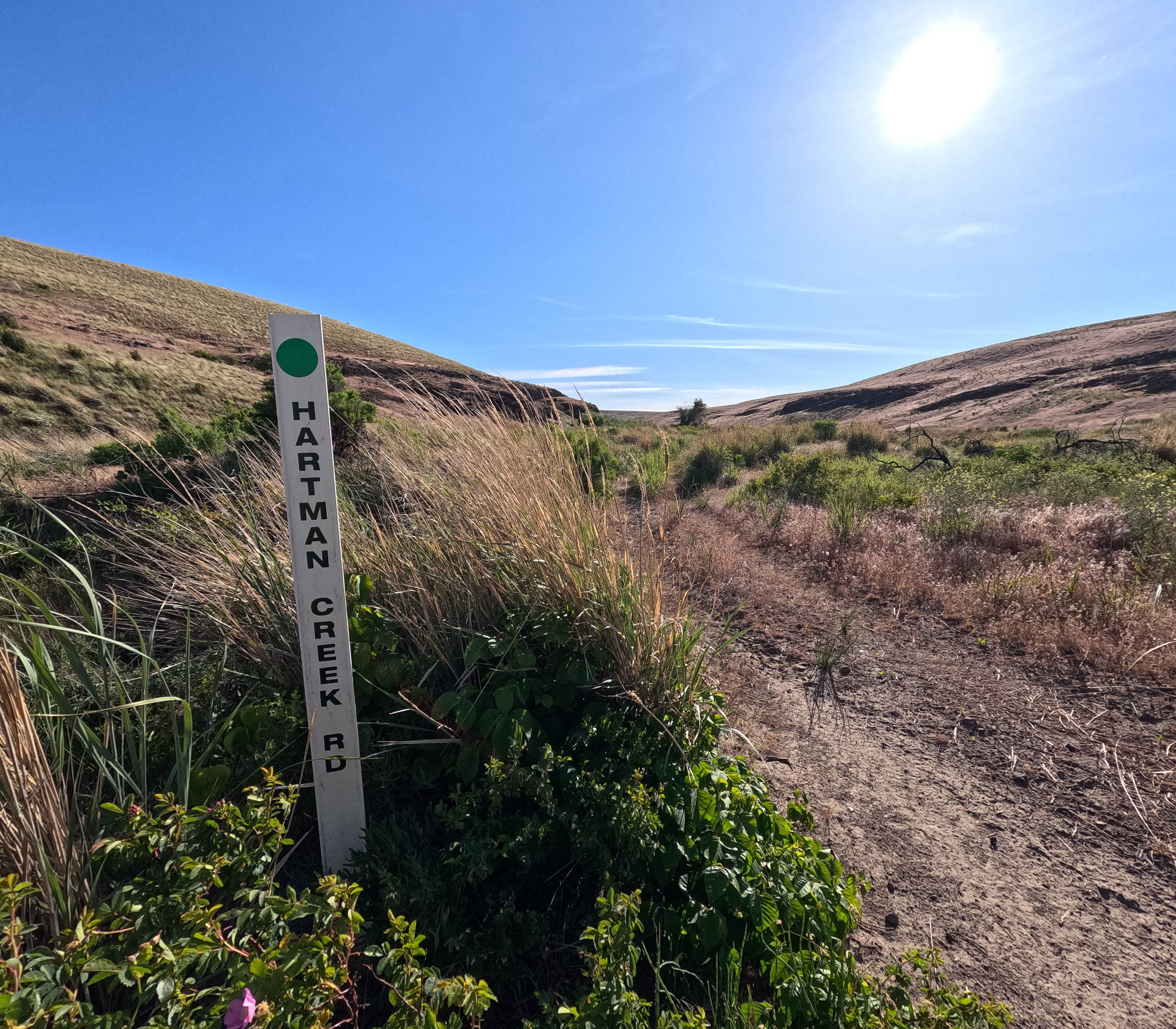 Hartman Creek Road
