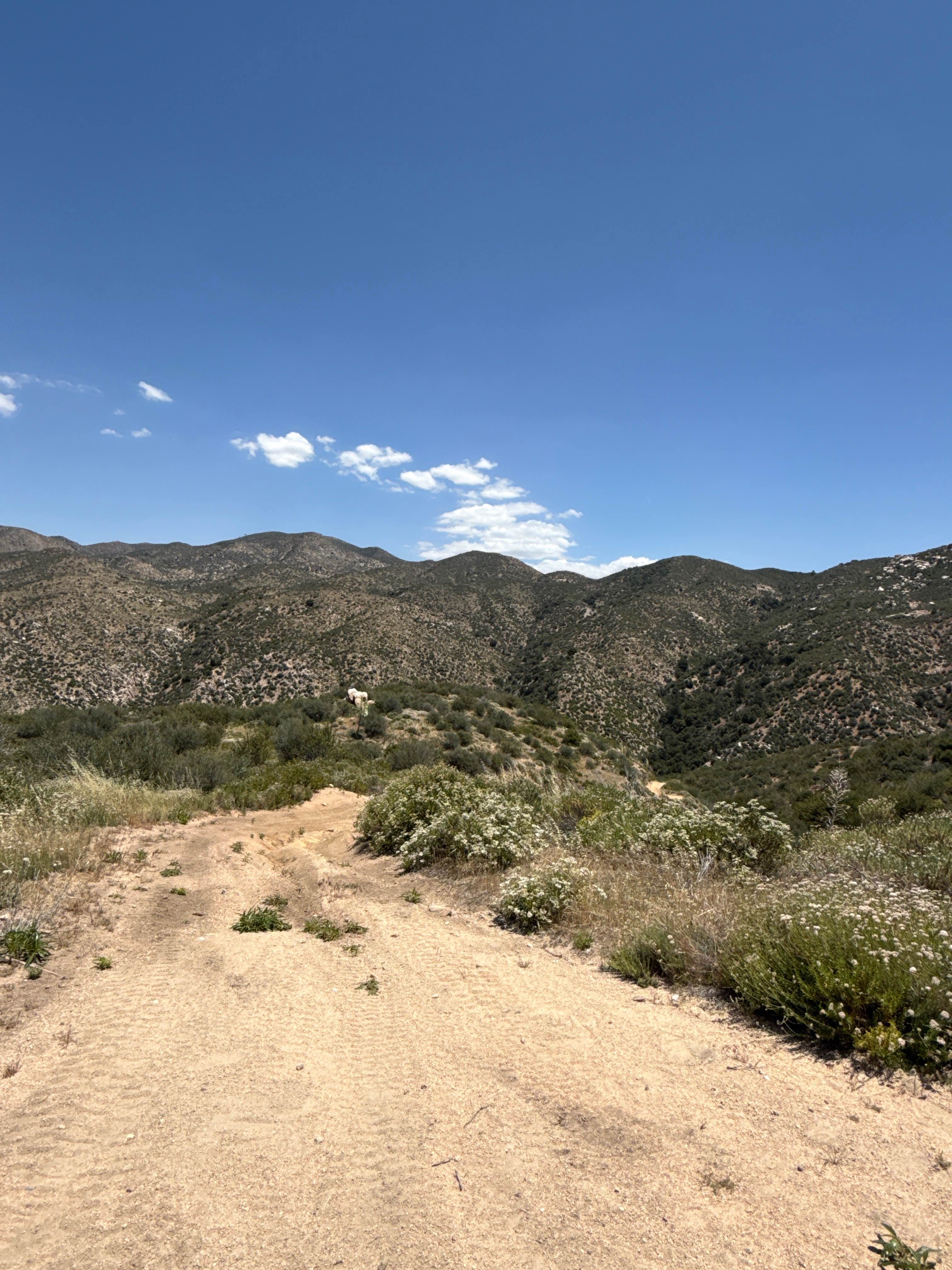 Devils Hole - FS 3N34D
