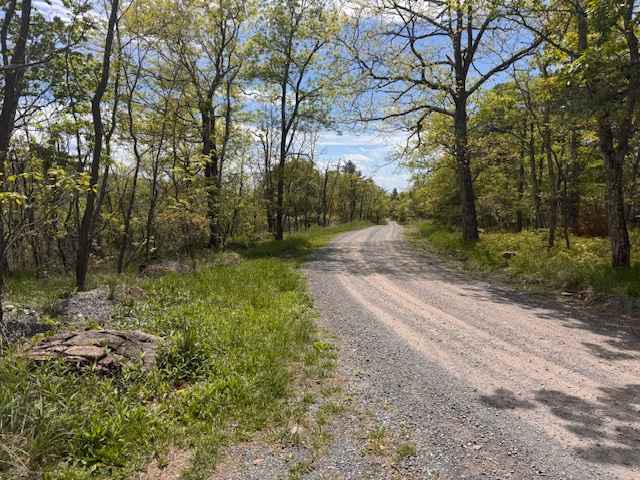 Devils Hole Road