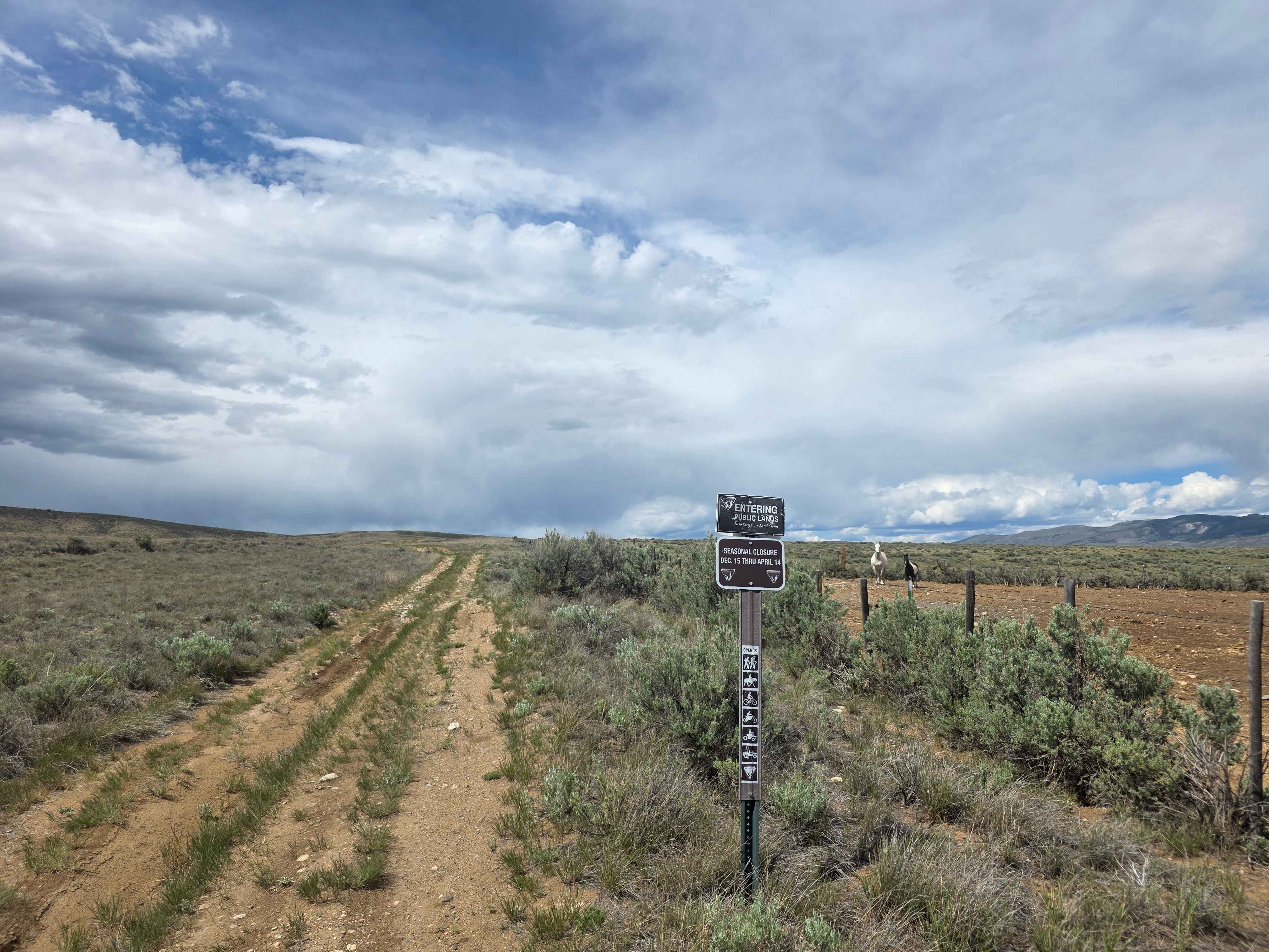 Red Mountain Trail