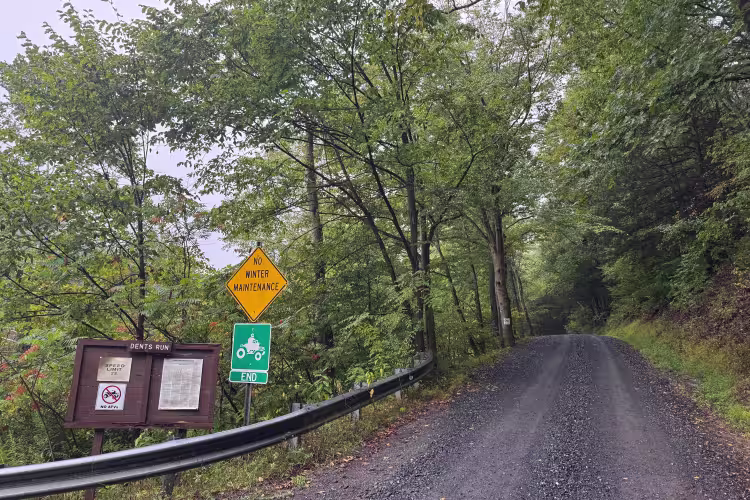 Dents Run Road