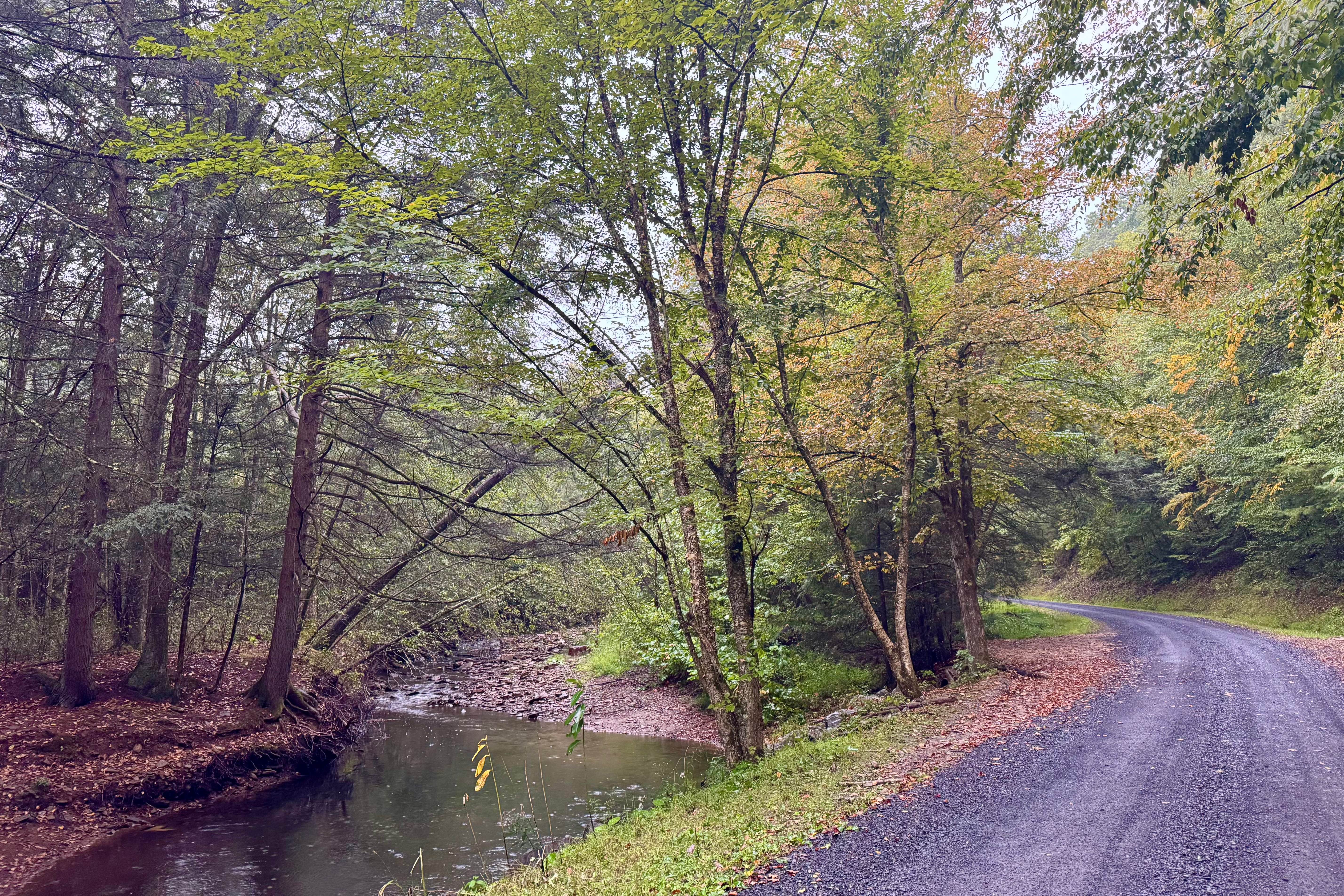 Dents Run Road