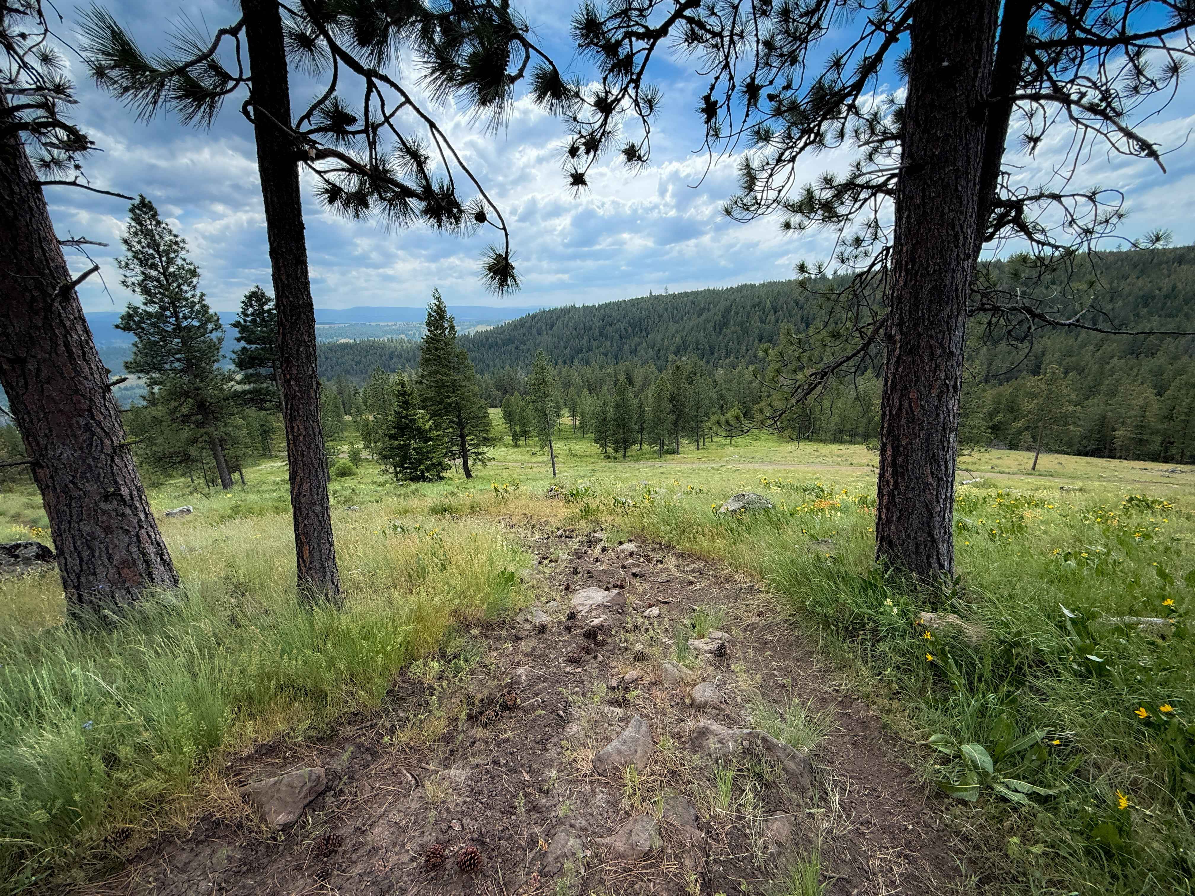 Blast Off - Trail 411