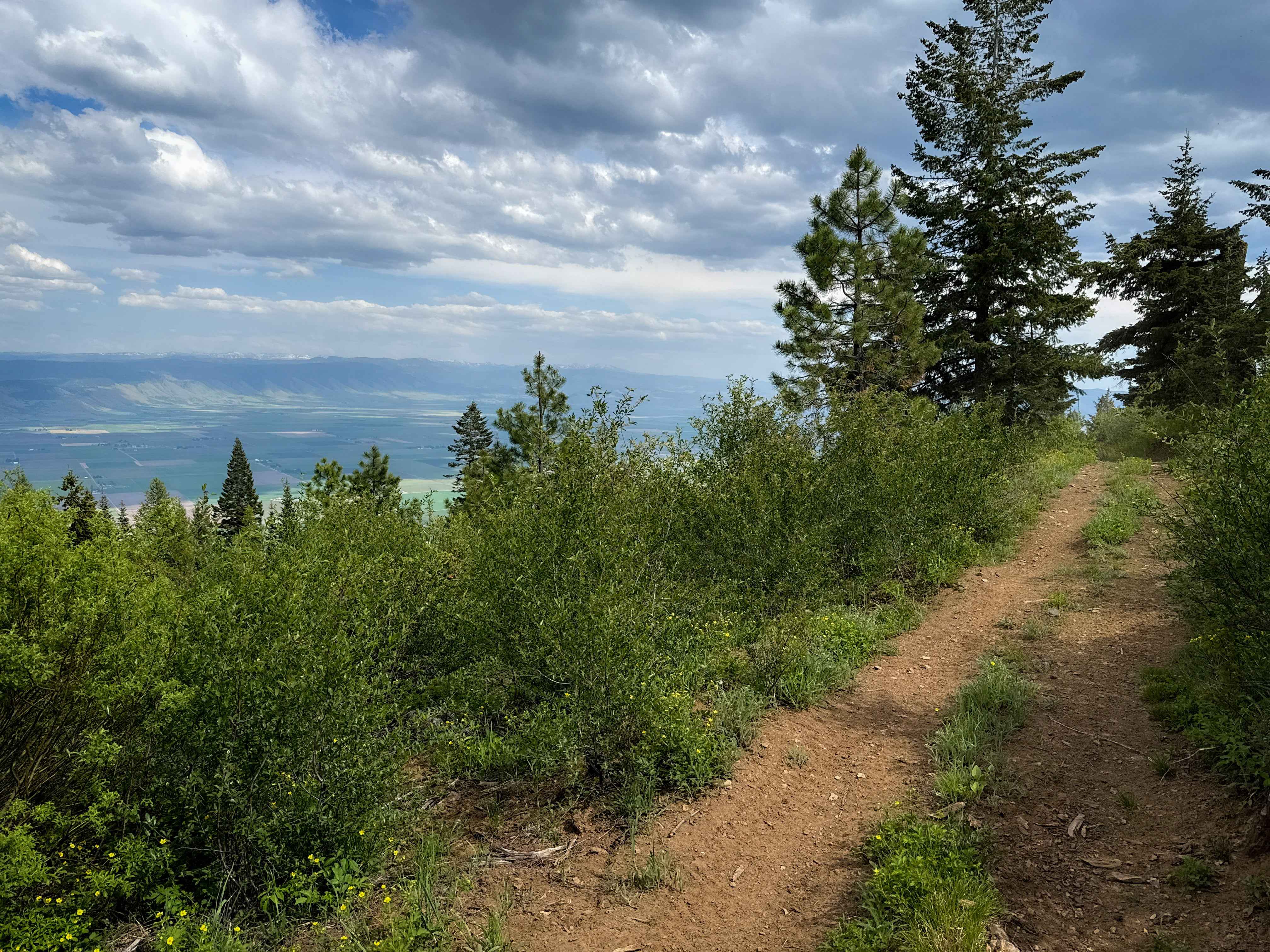 Upside - Trail 490