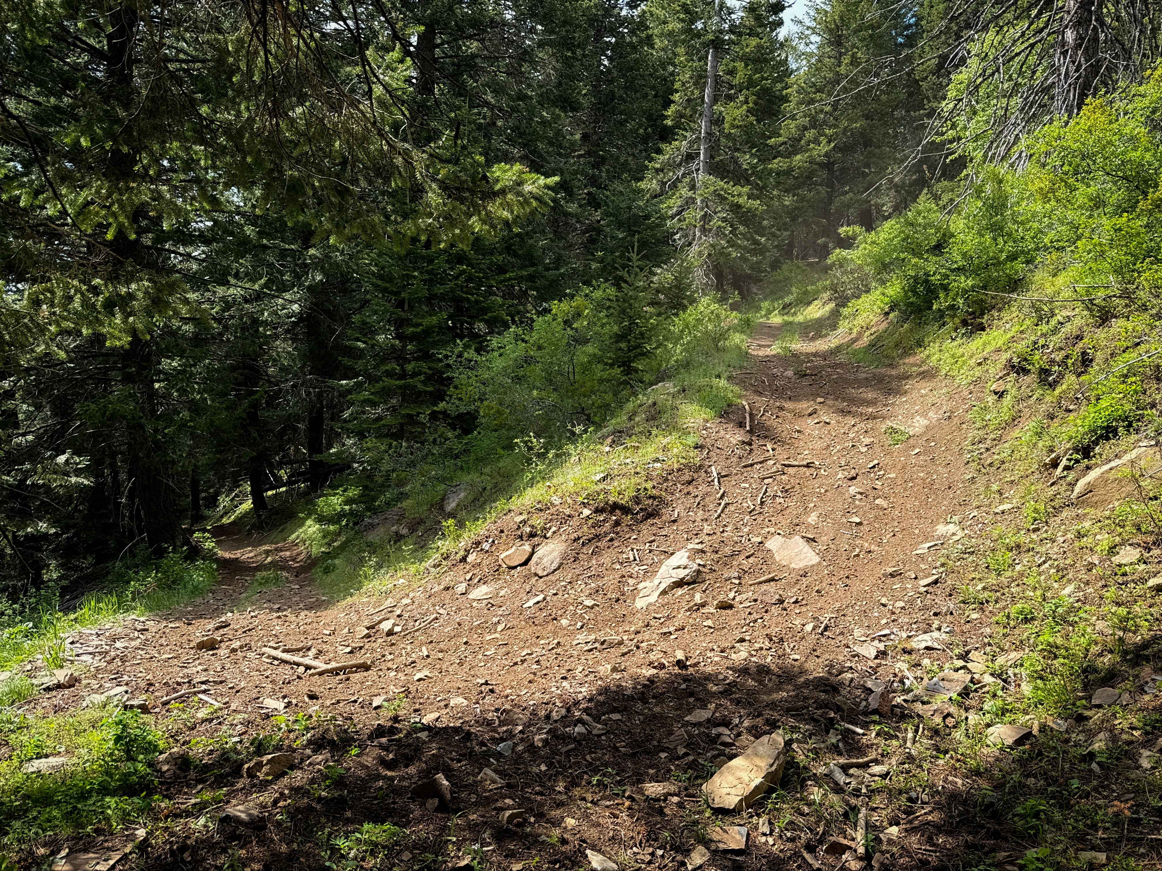 Upside - Trail 490