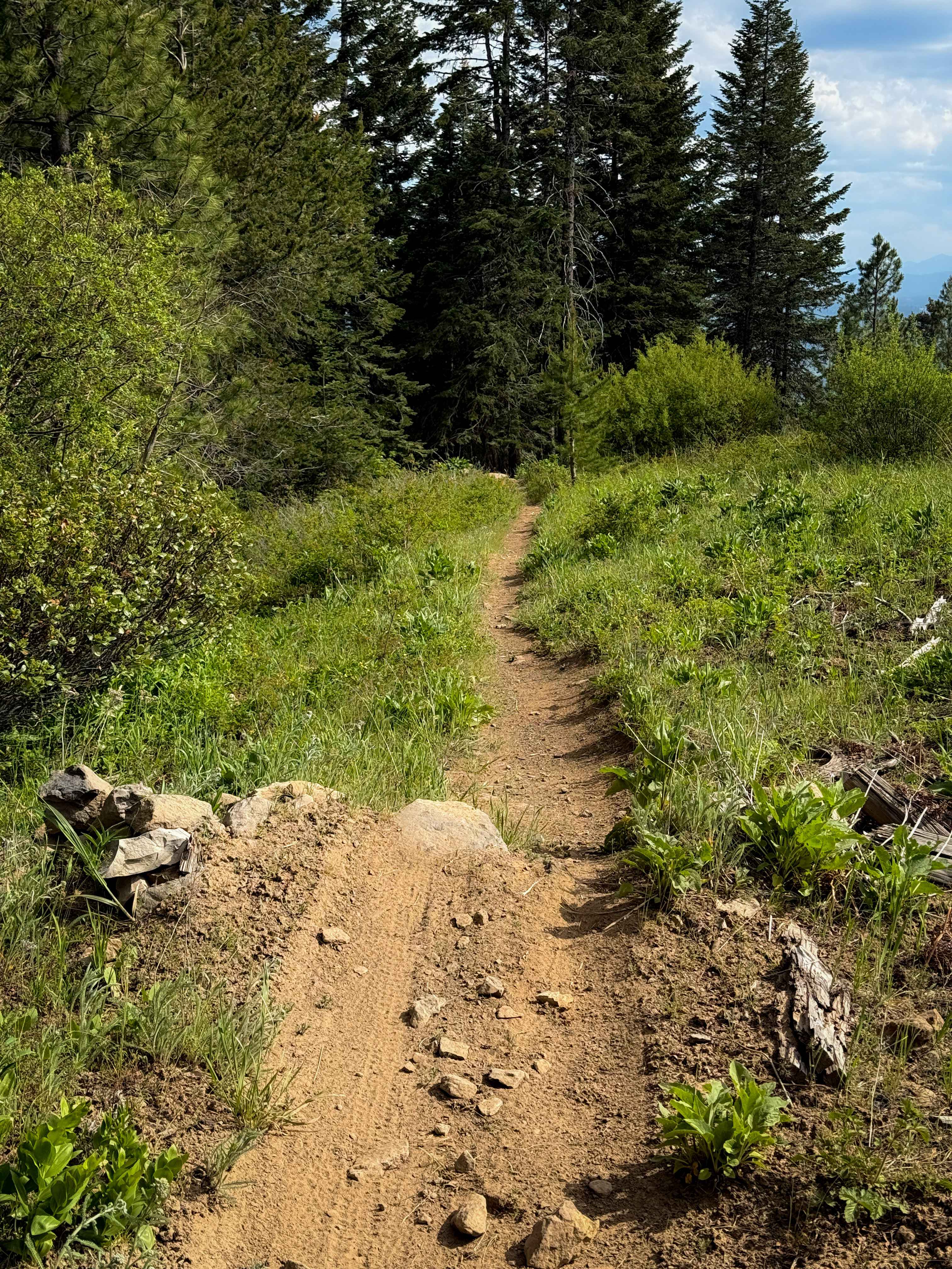 Ridgeline - Trail 320