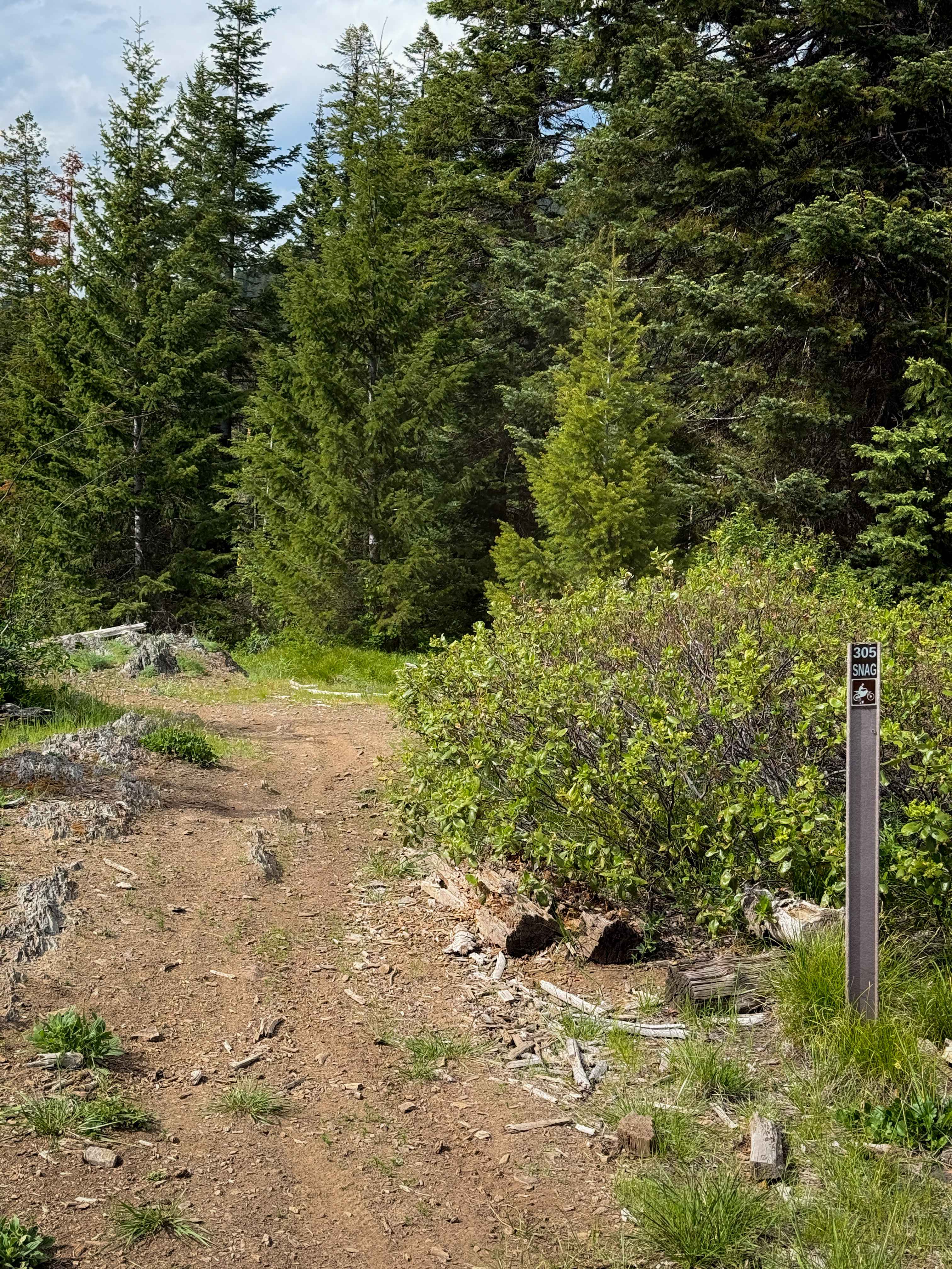Snag - Trail 308