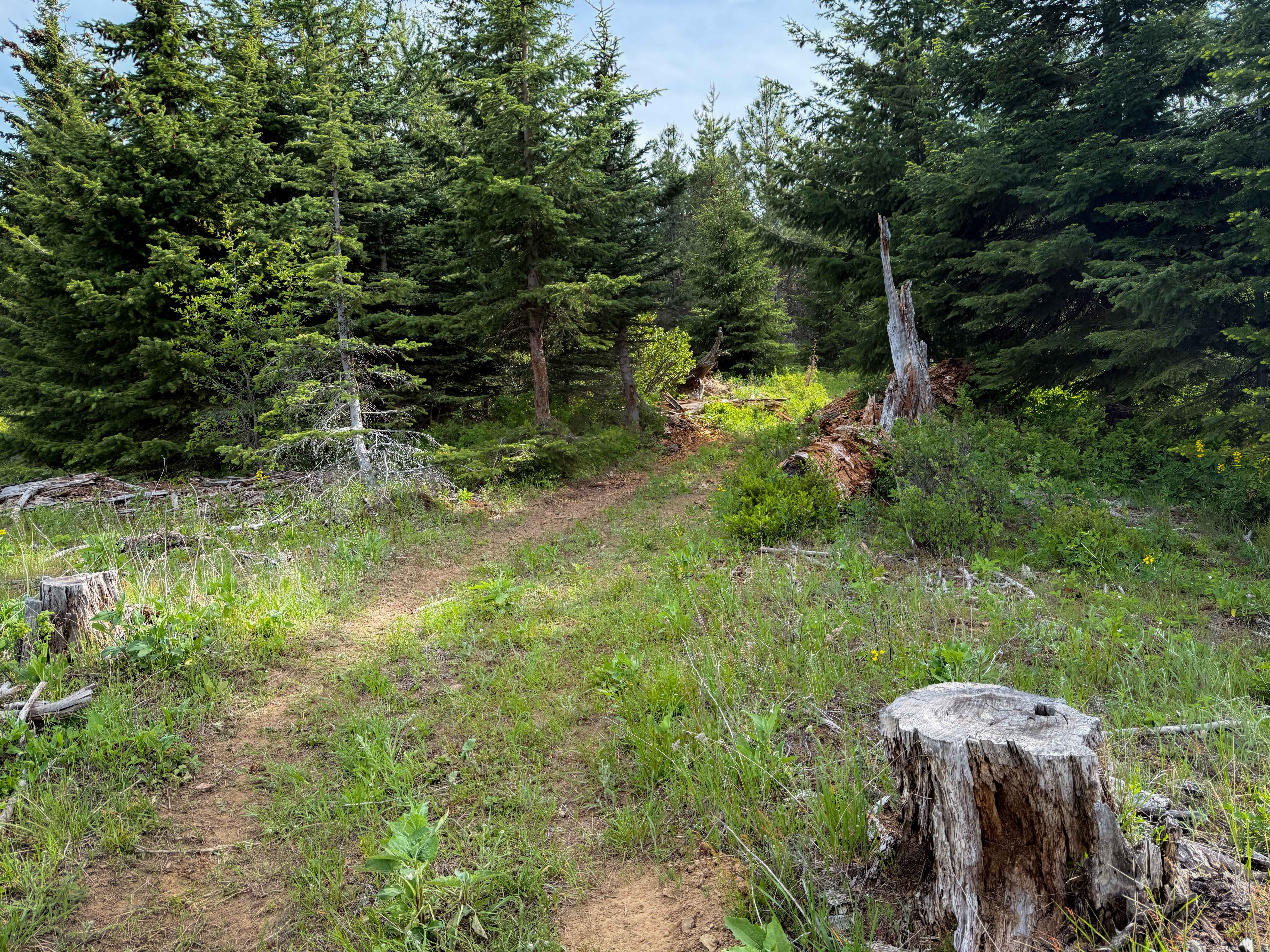 Round About - Trail 406